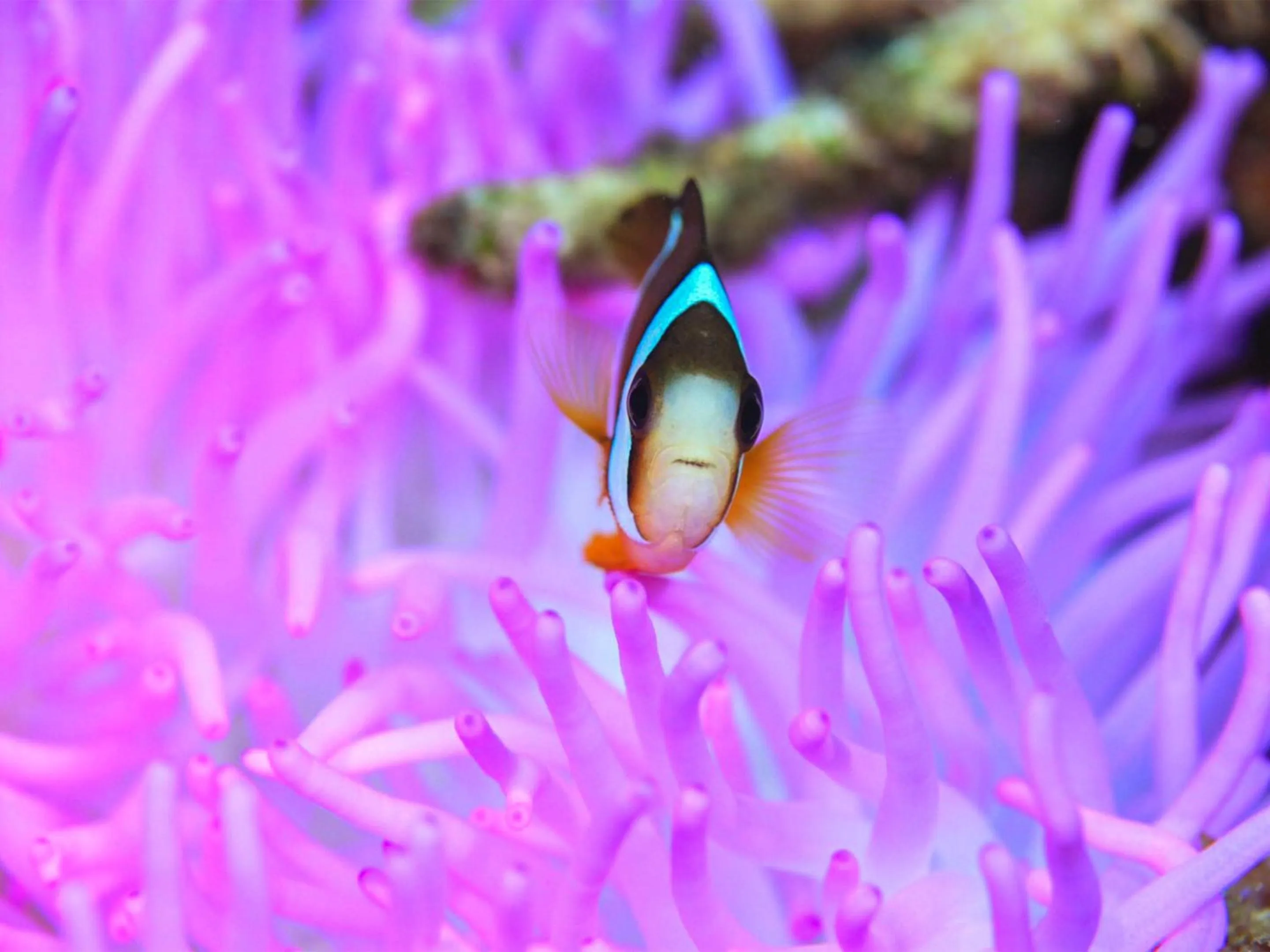 Nearby landmark in Emix Ishigaki
