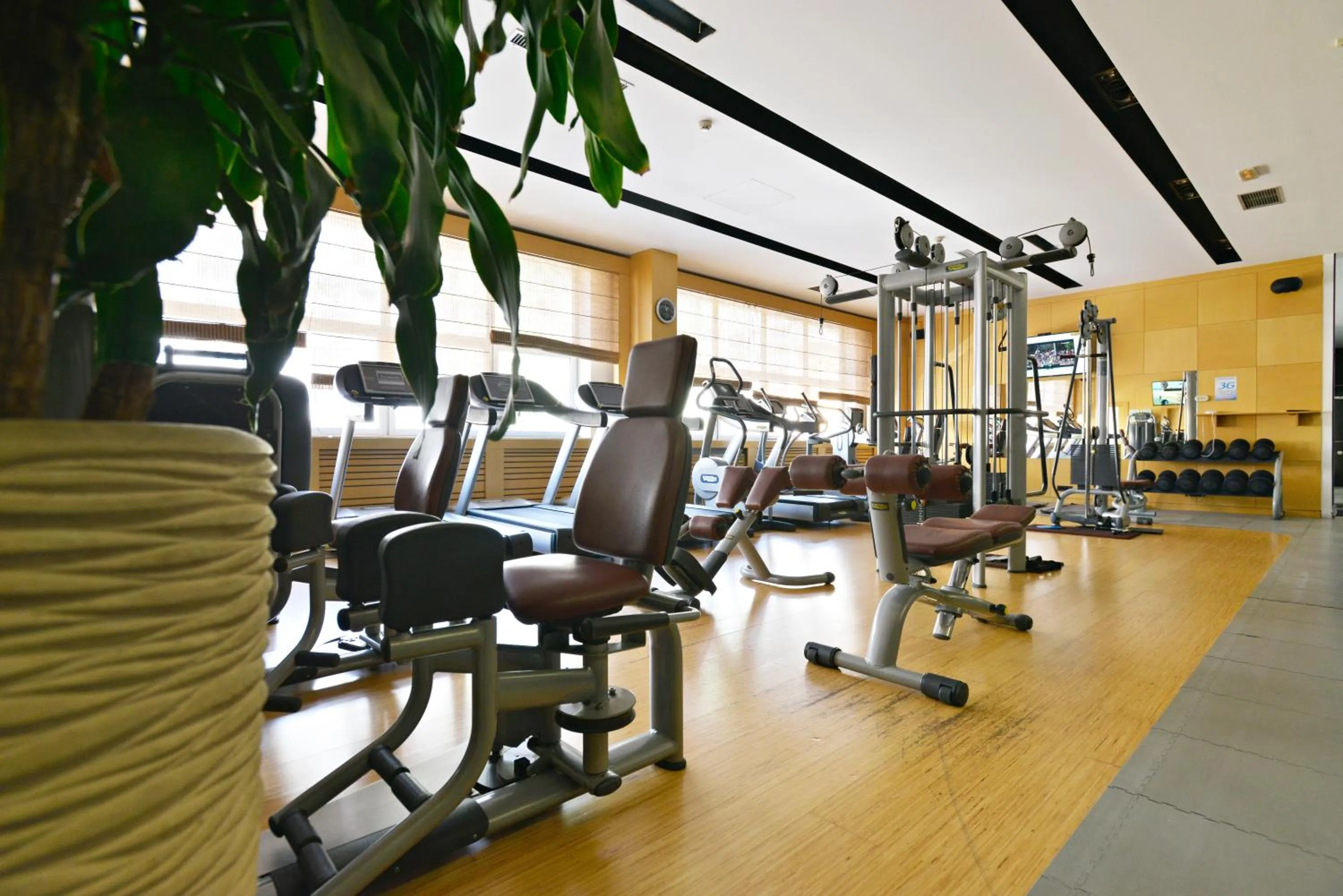 Fitness centre/facilities in Garni Hotel Aleksandar