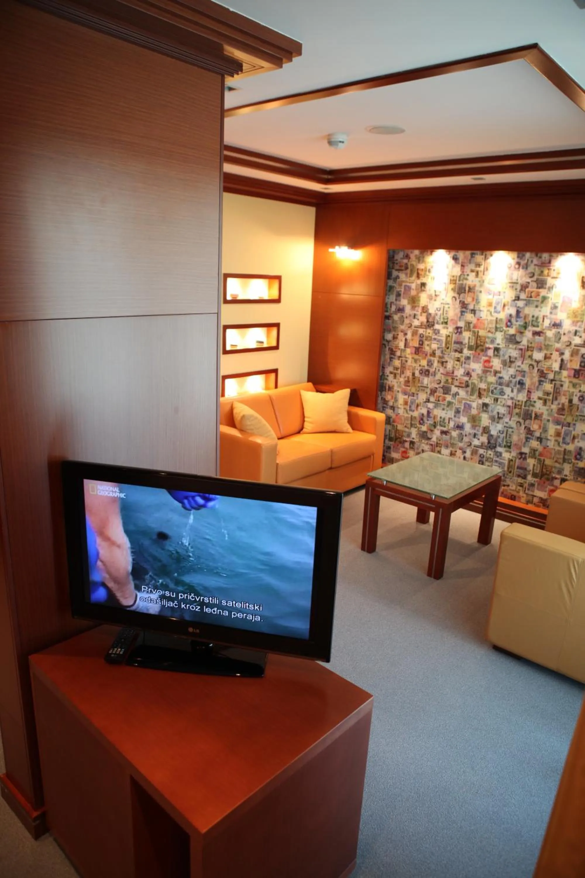 TV and multimedia in Garni Hotel Aleksandar