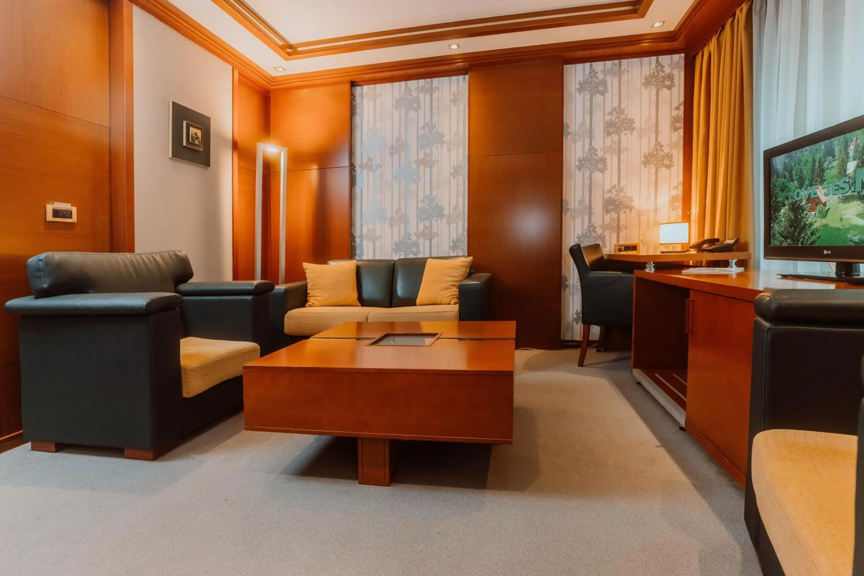 TV and multimedia in Garni Hotel Aleksandar