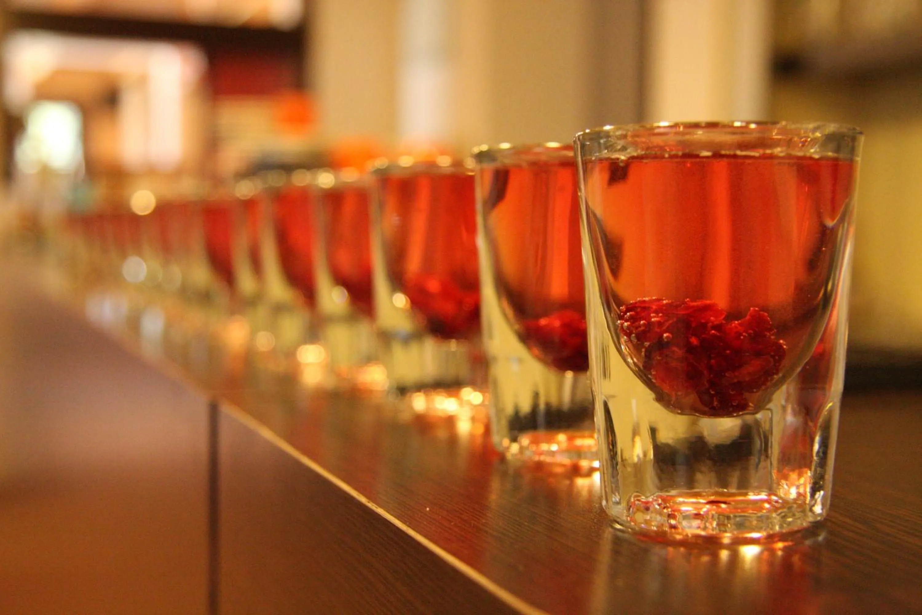 Food and drinks in Penzion Sileo