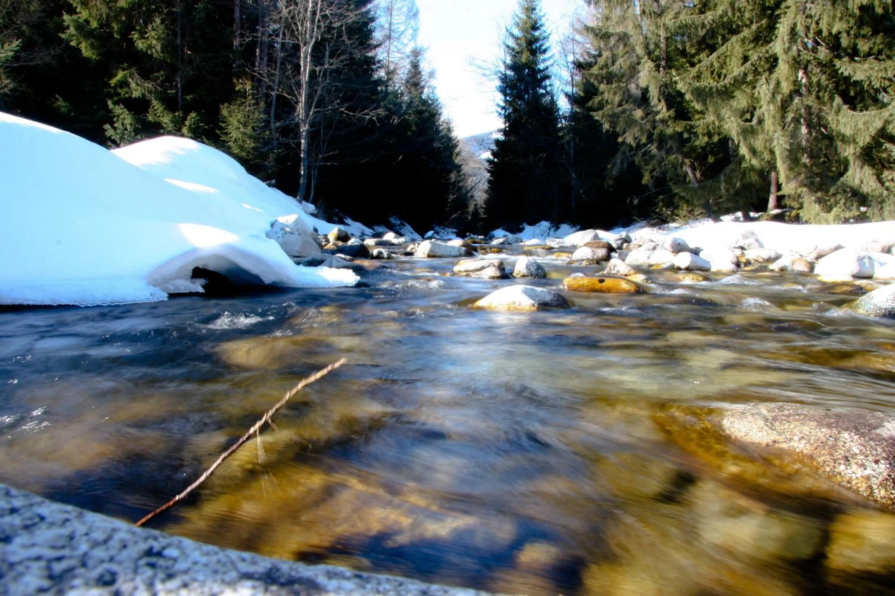 Area and facilities in Penzion Sileo