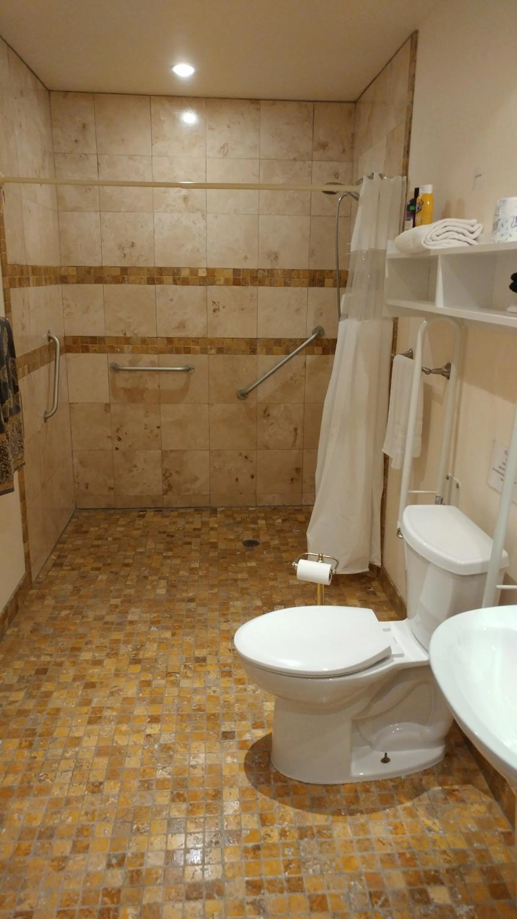 Shower in Lionheart Guest House