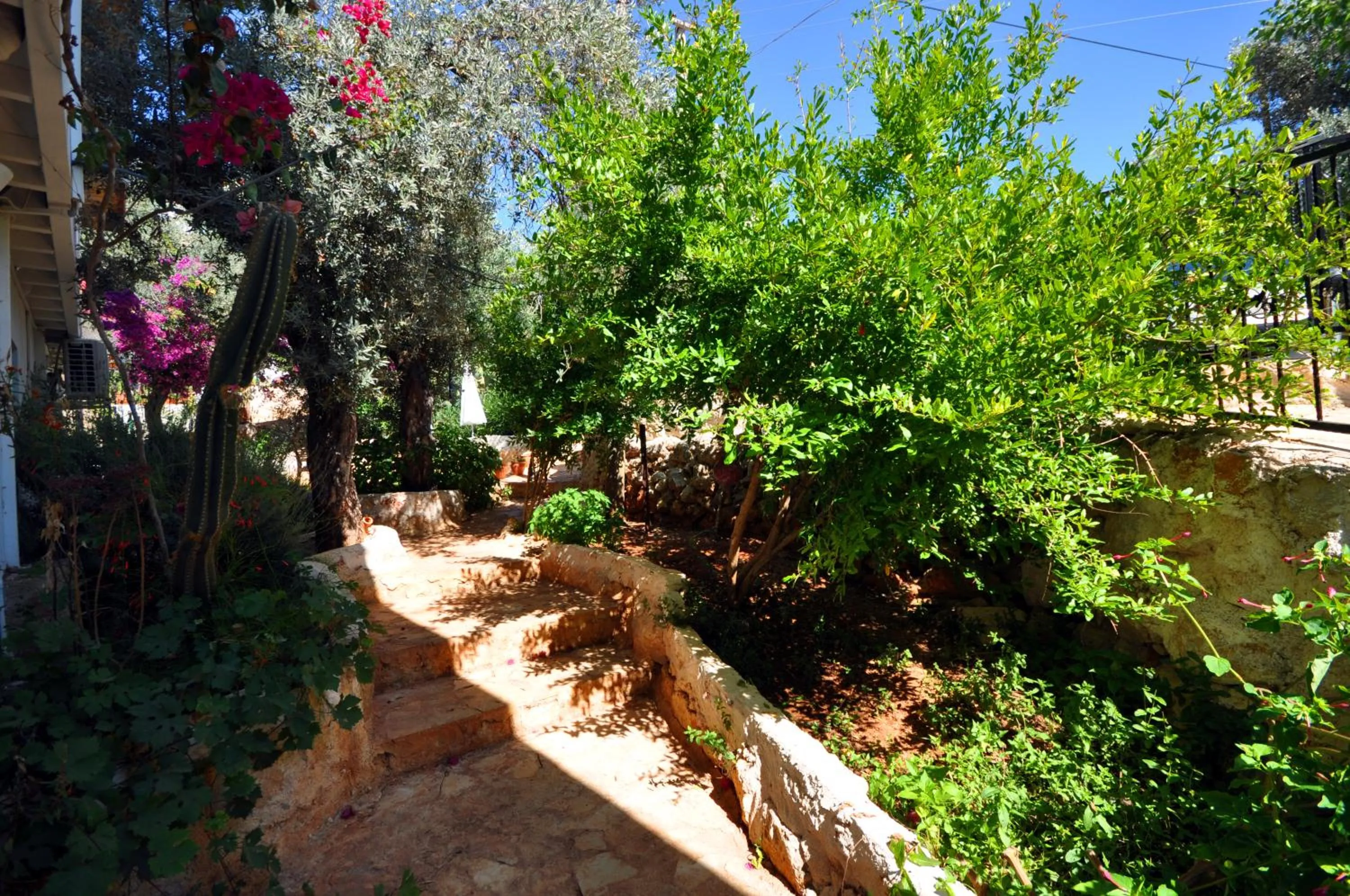 Garden in Kaktus Beach Apart