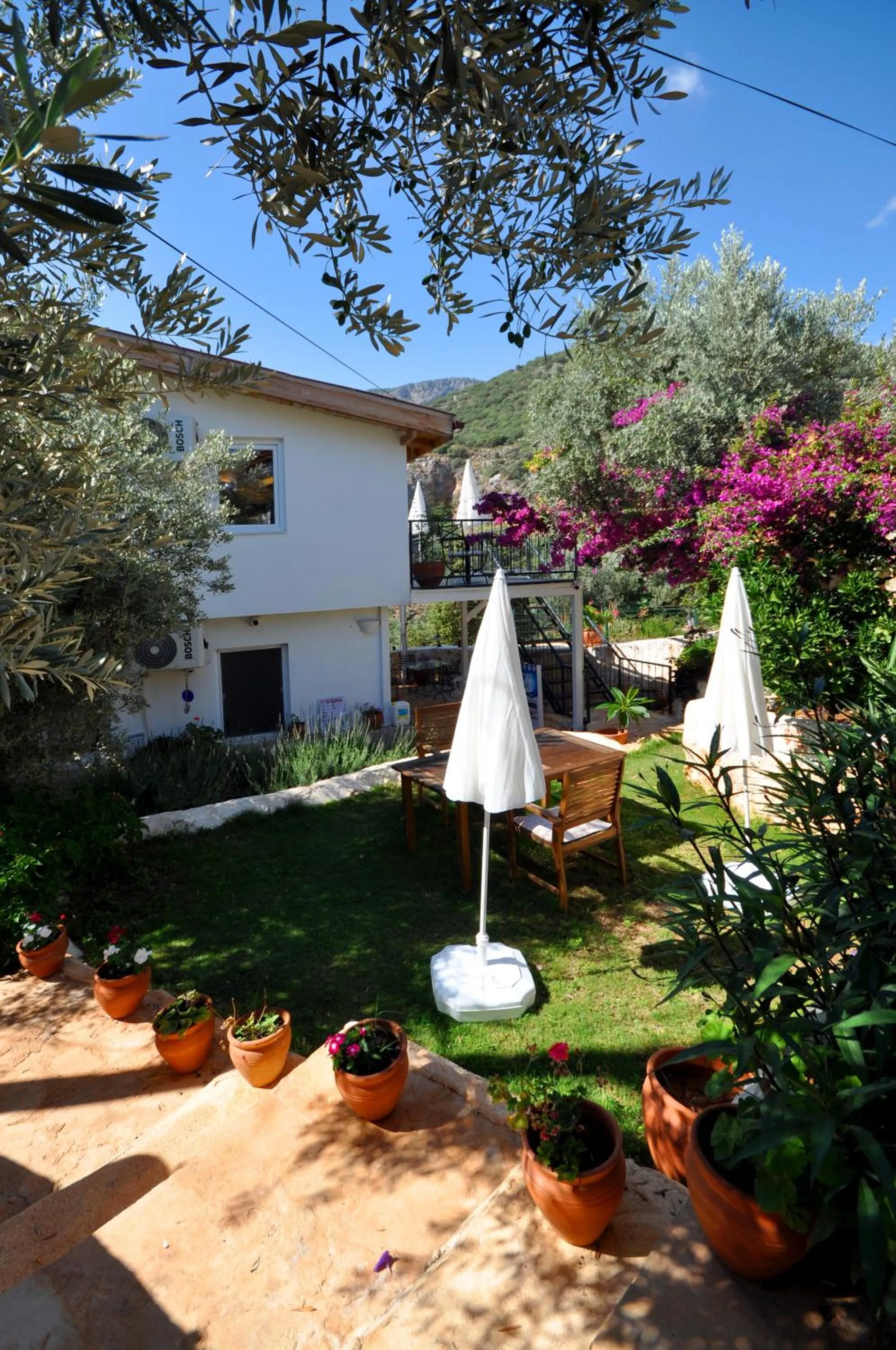 Garden in Kaktus Beach Apart