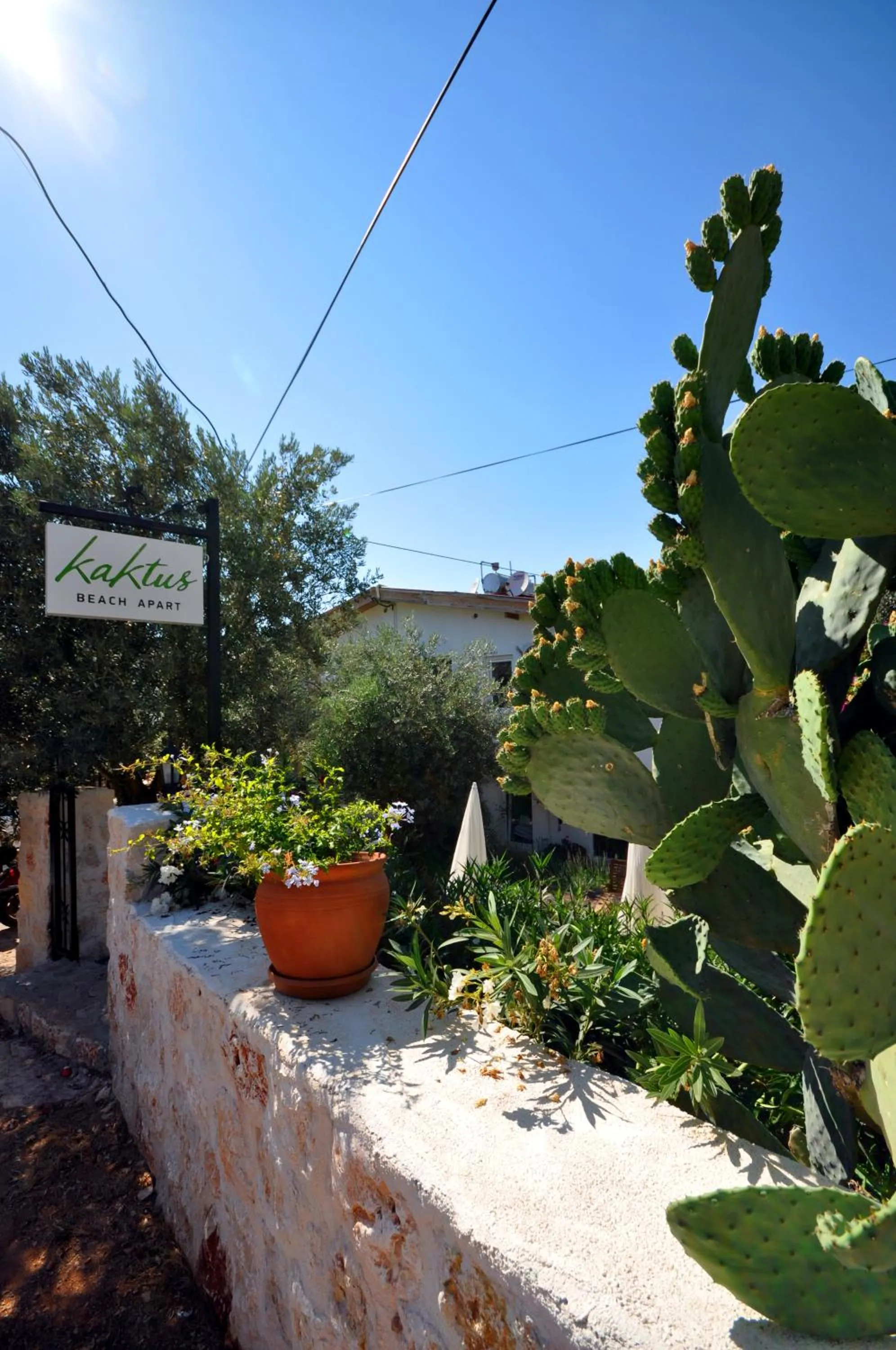 Property logo or sign in Kaktus Beach Apart