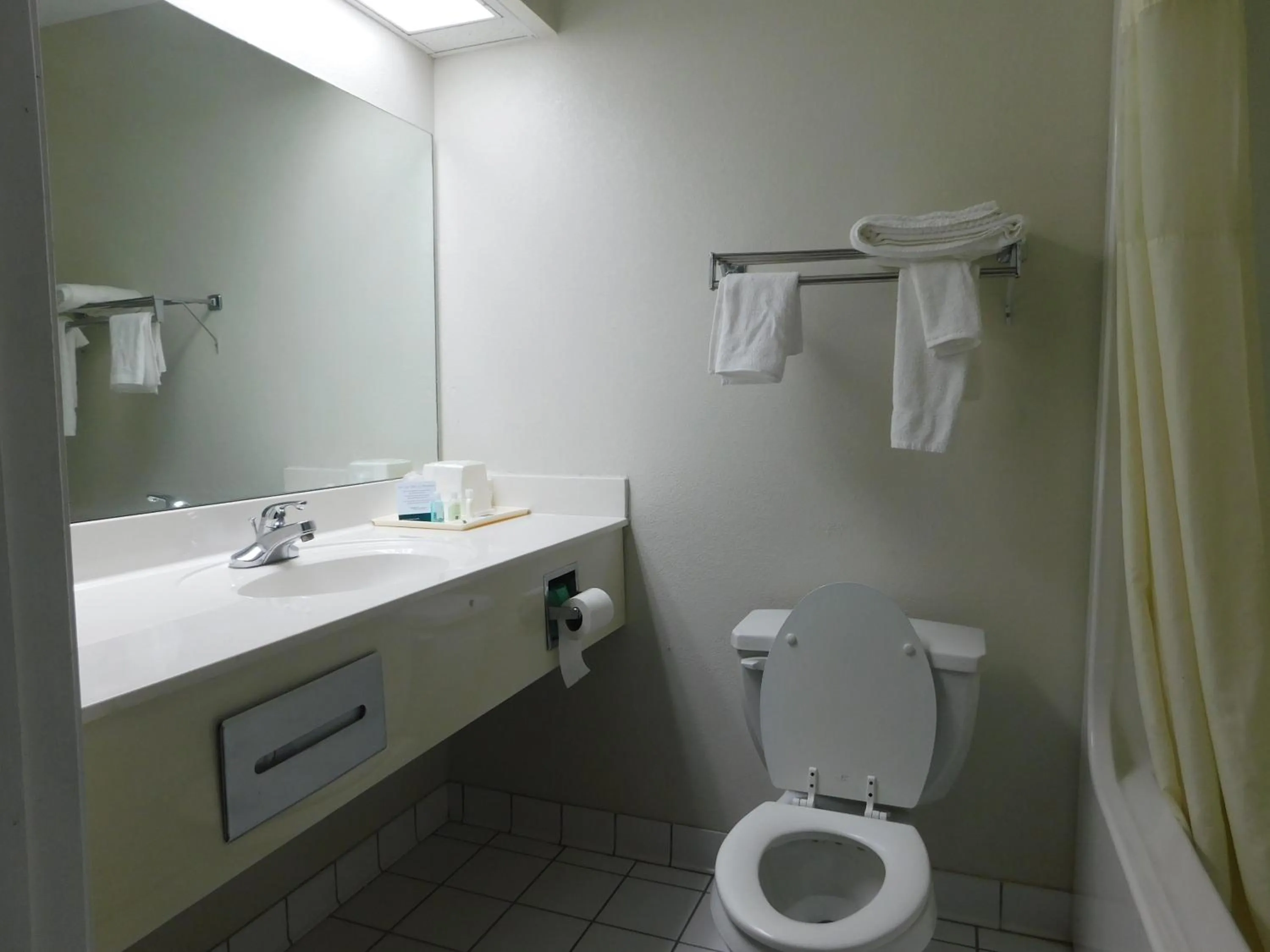 Bathroom in Quality Inn & Suites Thomasville I-85