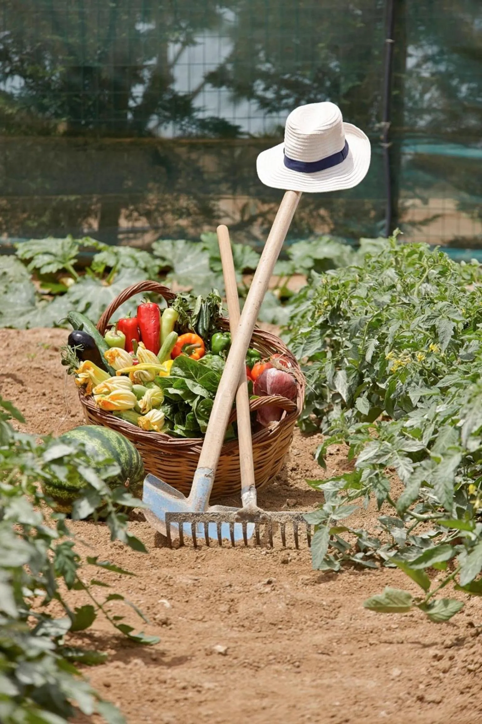 Restaurant/places to eat in Villa Paradise in Naxos