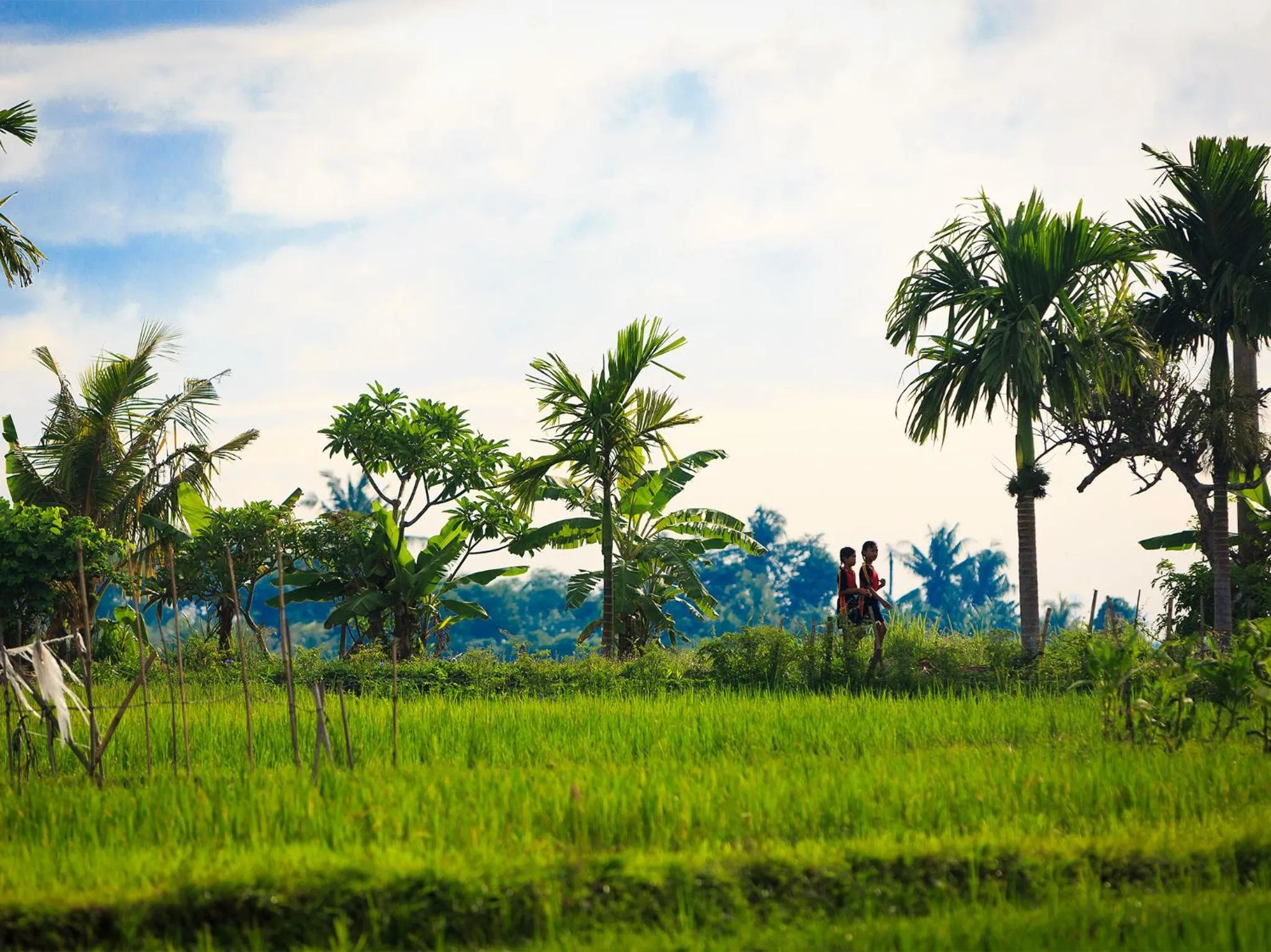 Natural landscape in Villa Maridadi by Elite Havens
