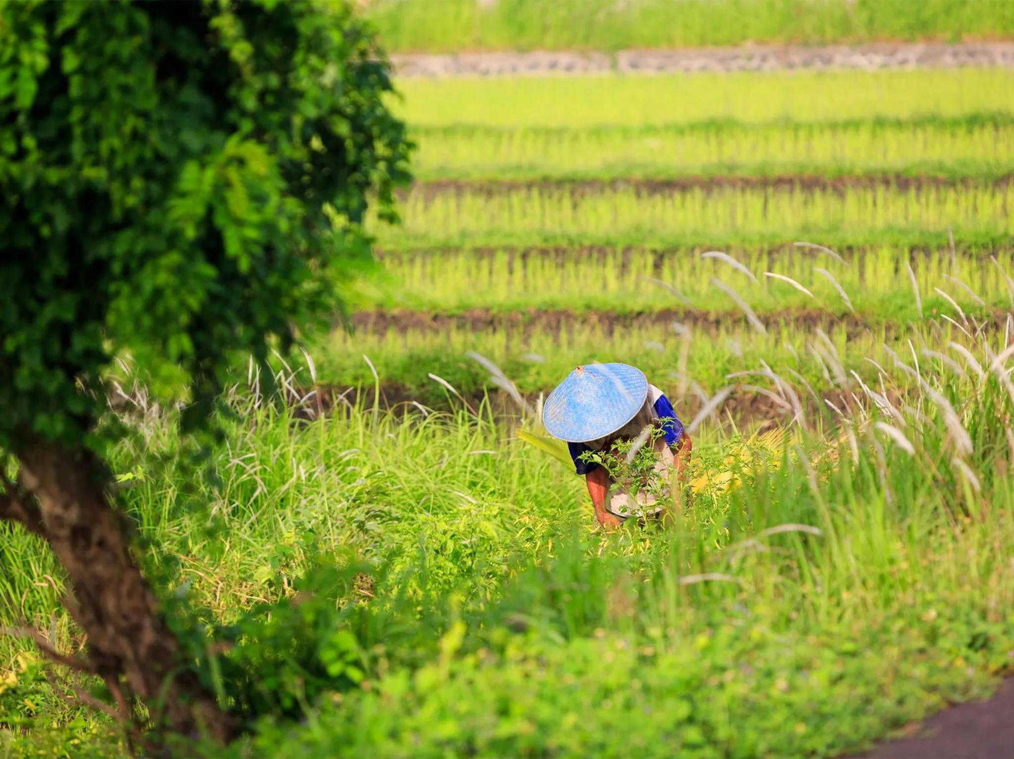 Natural landscape in Villa Maridadi by Elite Havens