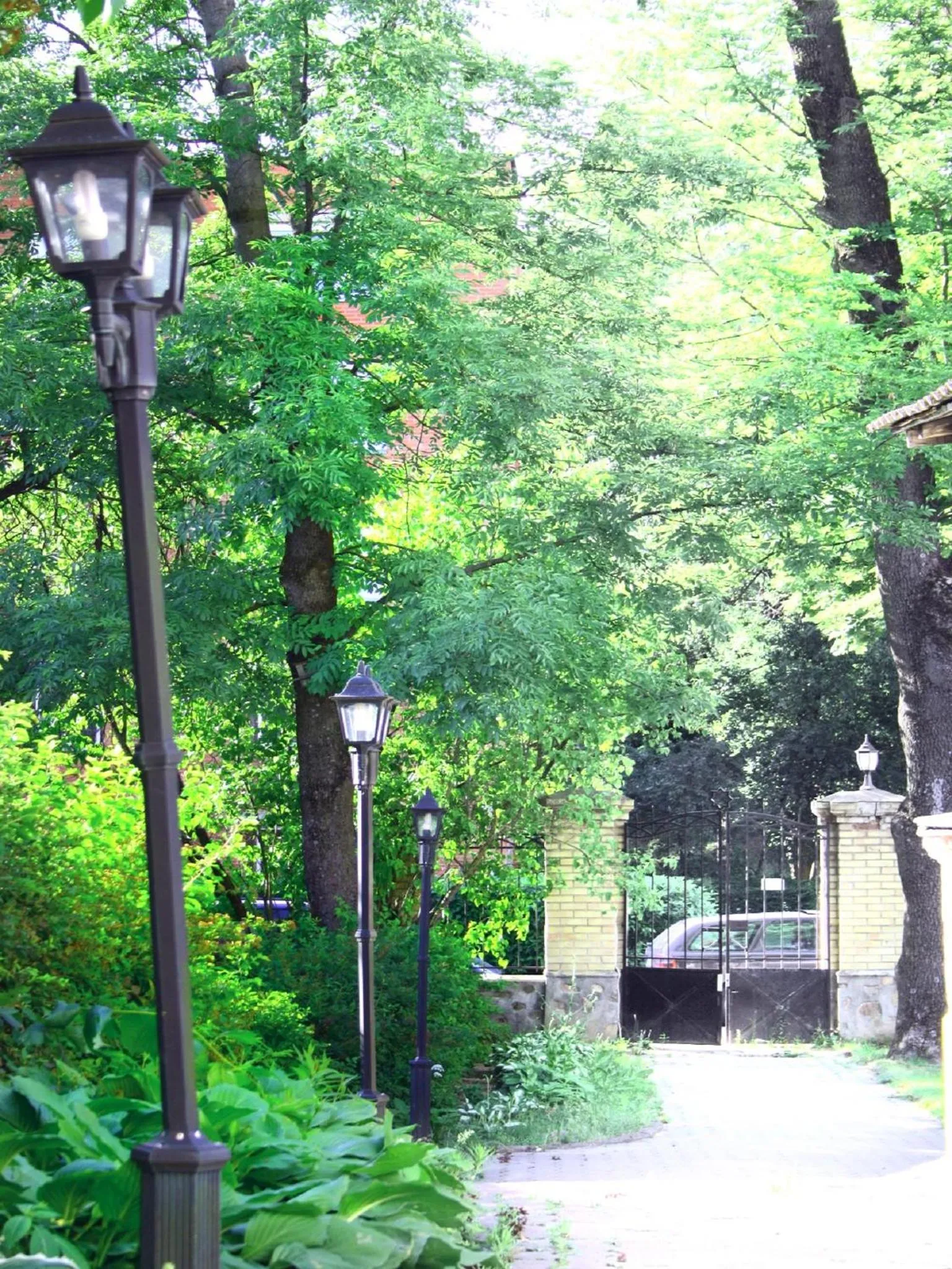 Day in Hostel Filaretai