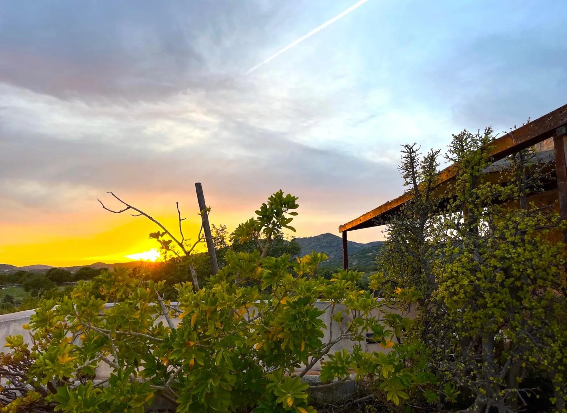 Finca Hotel Ses Cases Noves