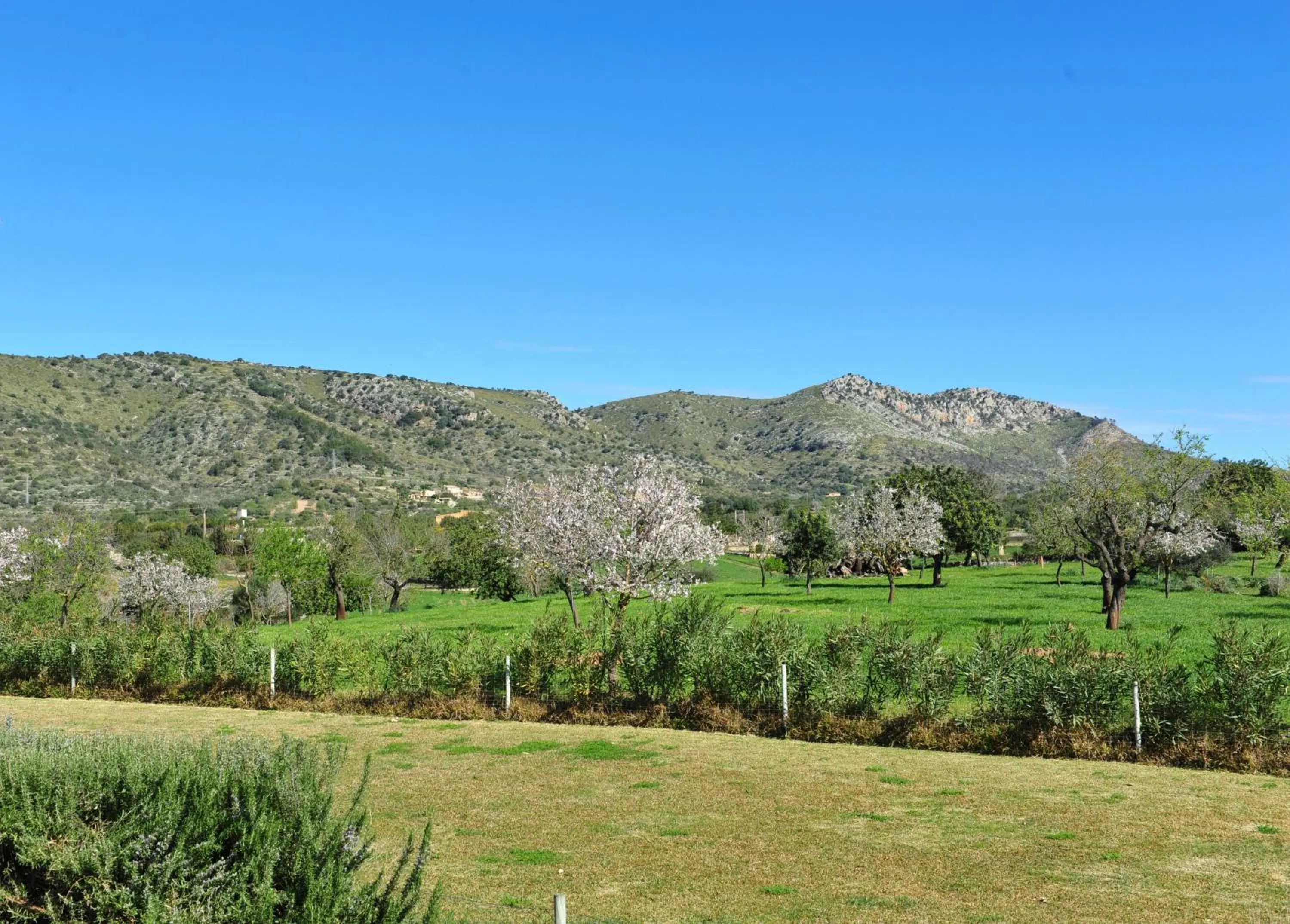 View (from property/room) in Finca Hotel Ses Cases Noves