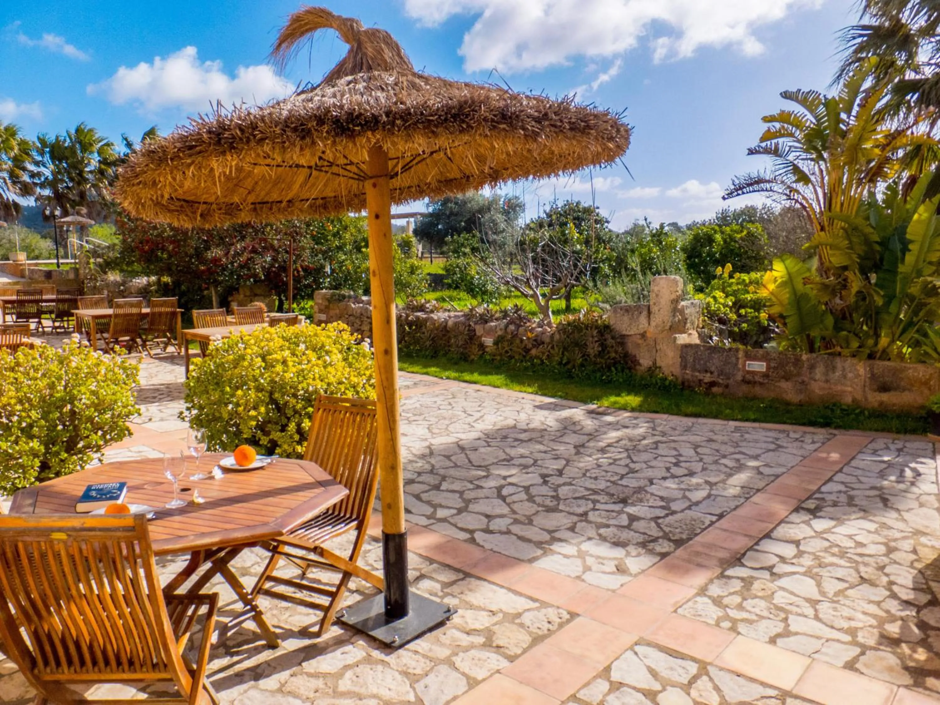 Garden view in Finca Hotel Ses Cases Noves