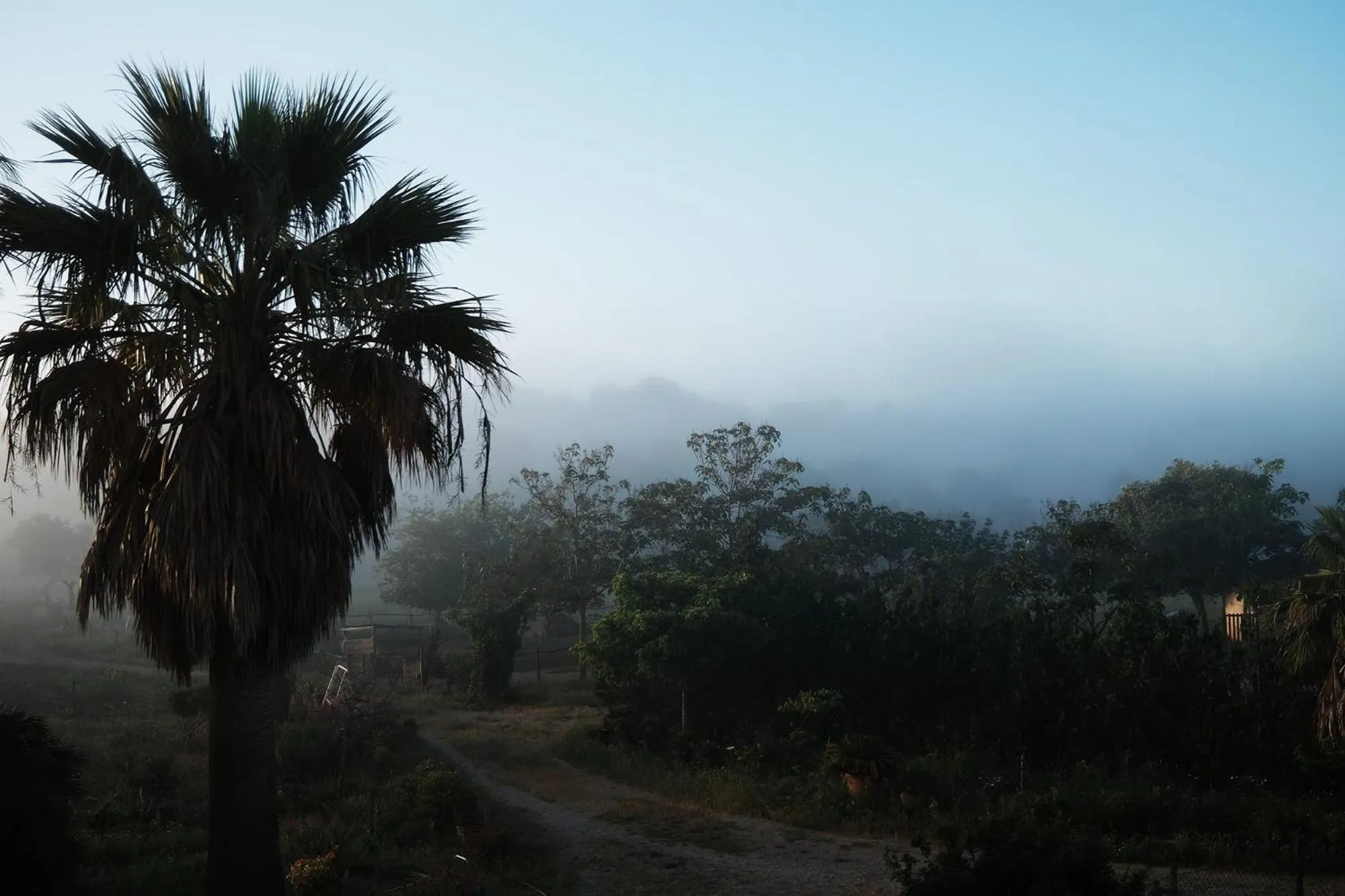 Finca Hotel Ses Cases Noves