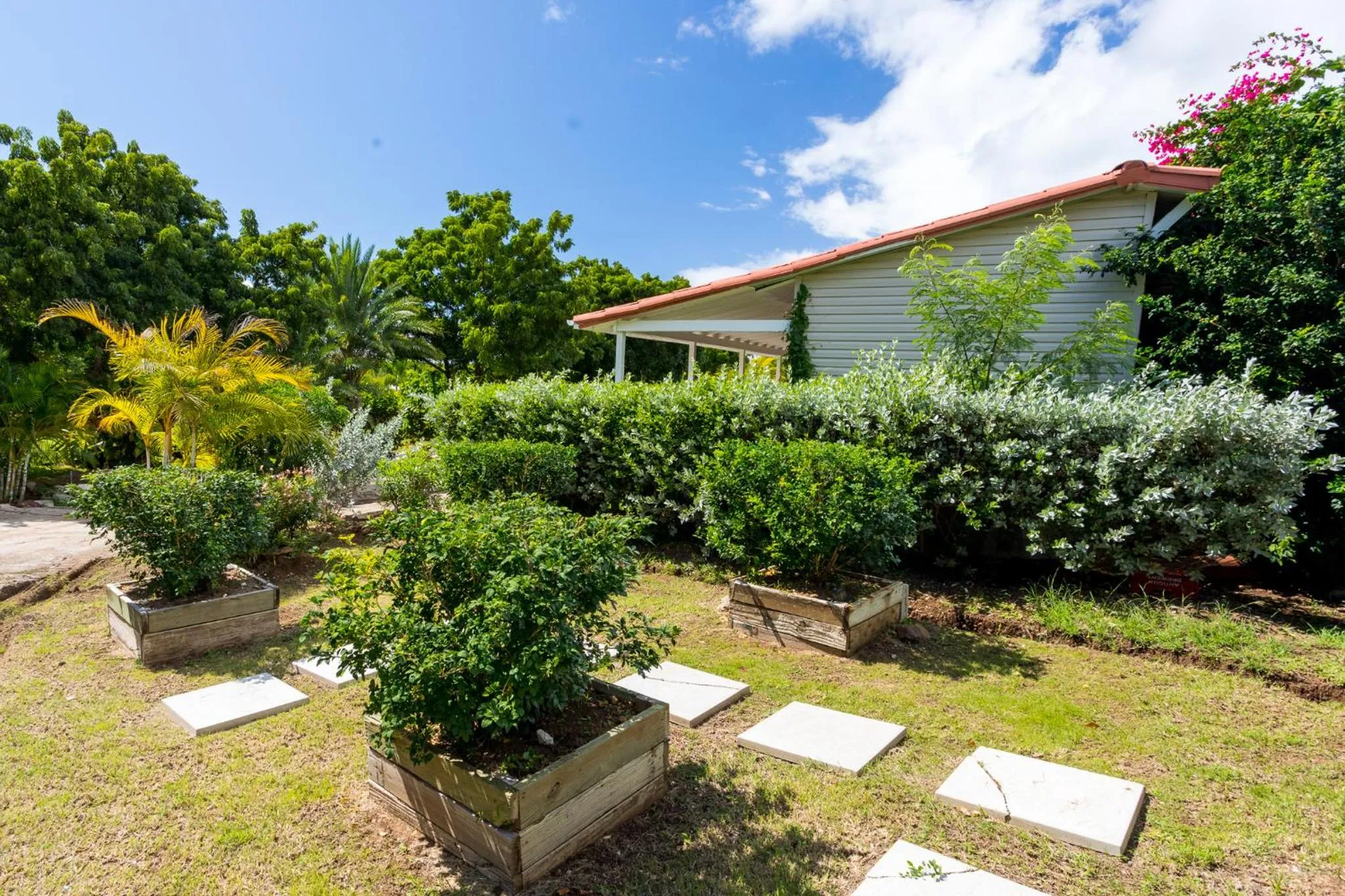 Garden view in South Coast Horizon