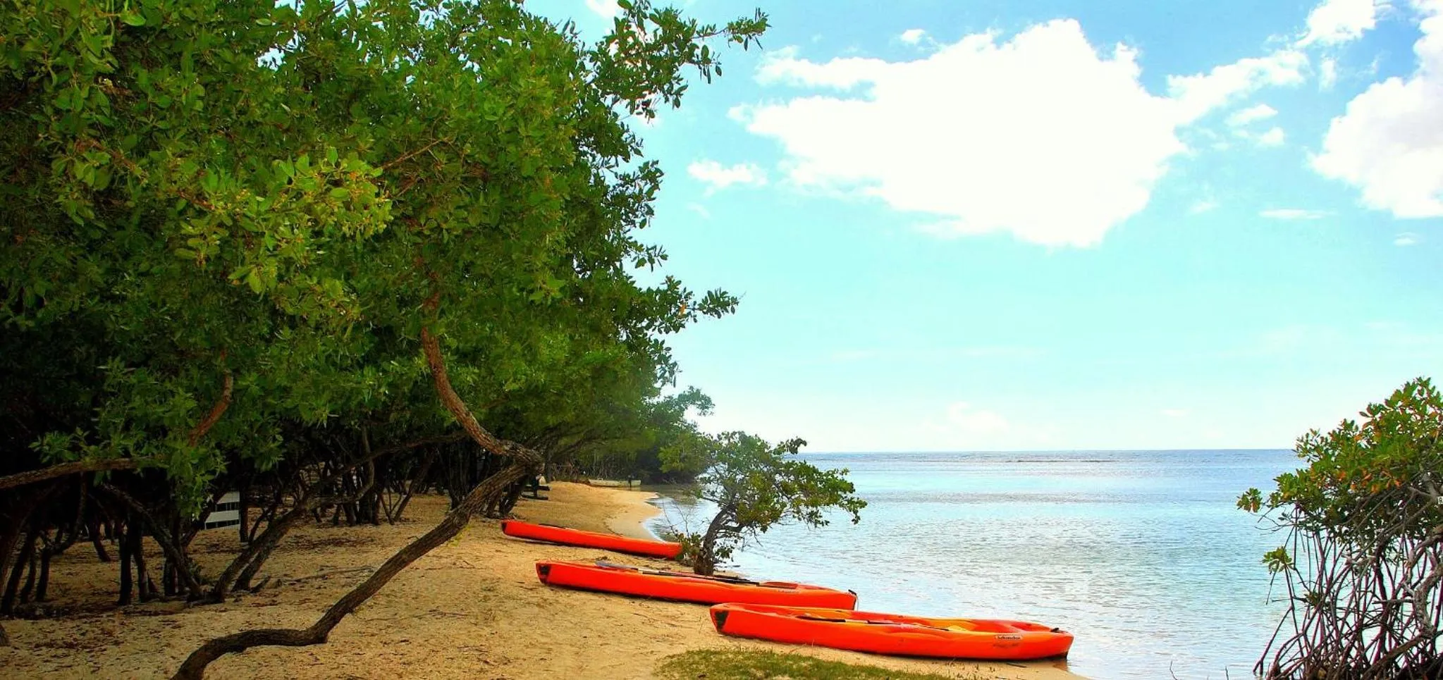 Beach in South Coast Horizon