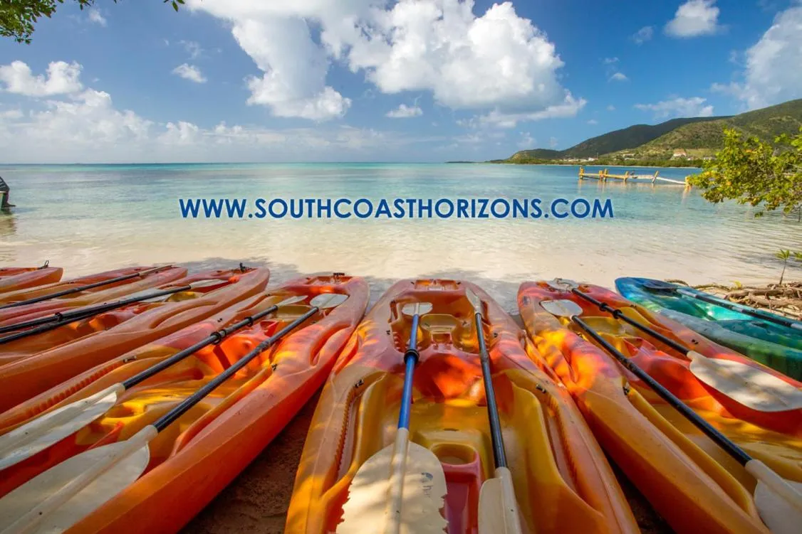 Canoeing in South Coast Horizon