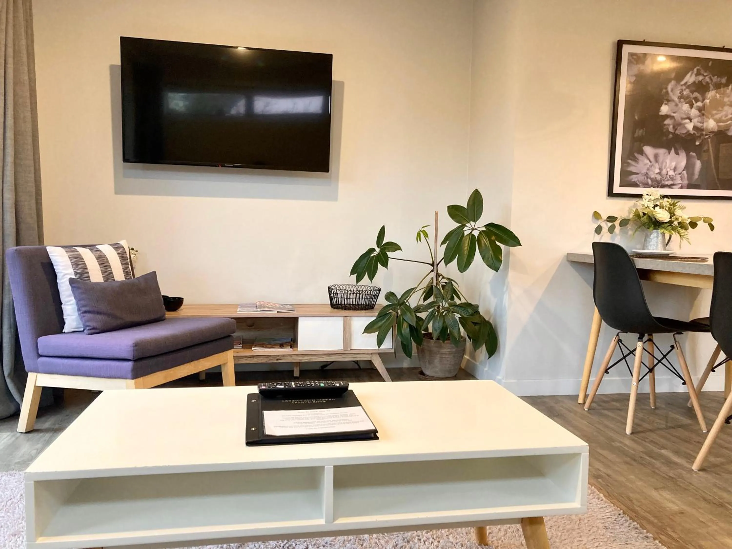 TV and multimedia in Arrowtown Motel