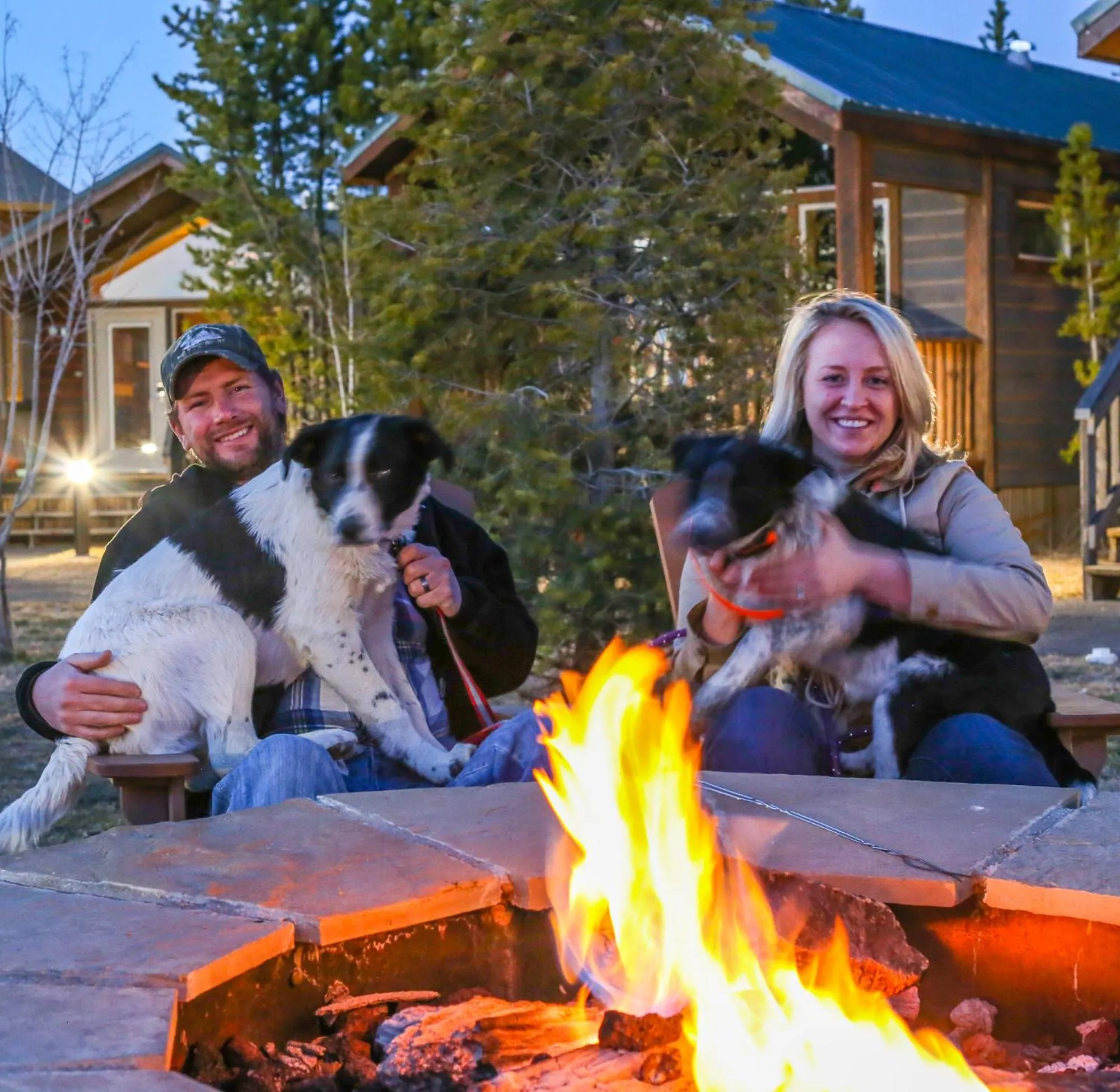 Pets in Explorer Cabins at Yellowstone