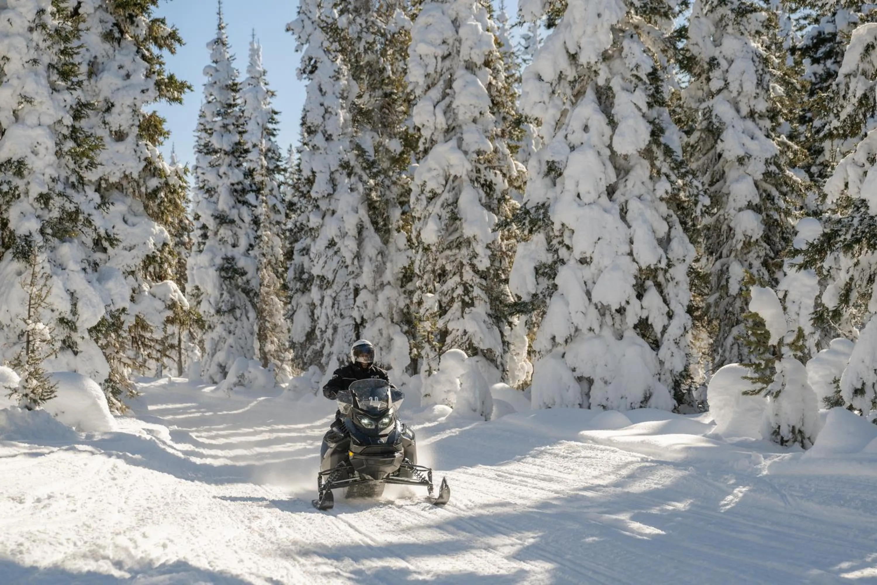 Natural landscape in Explorer Cabins at Yellowstone