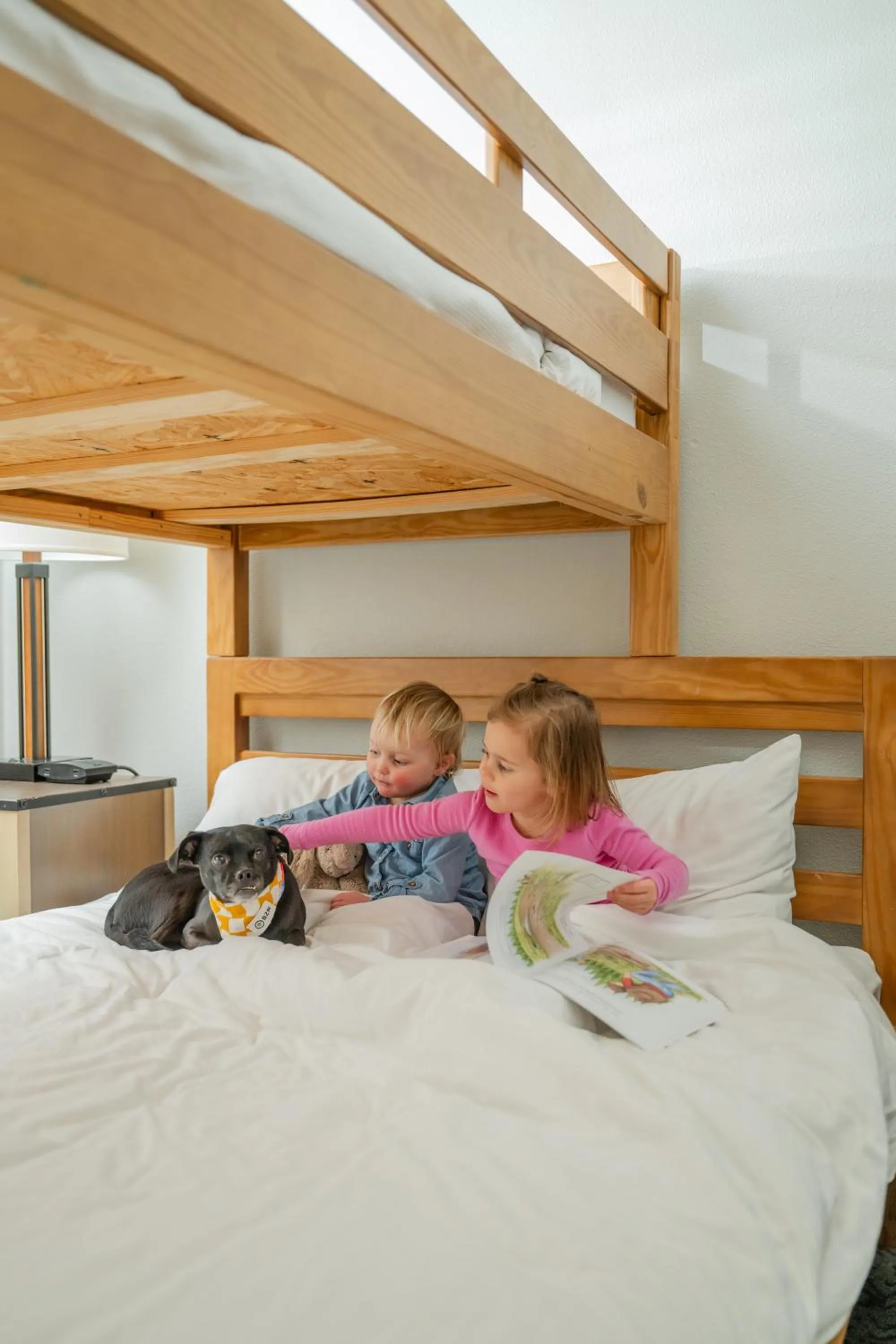 bunk bed, Bed in Explorer Cabins at Yellowstone