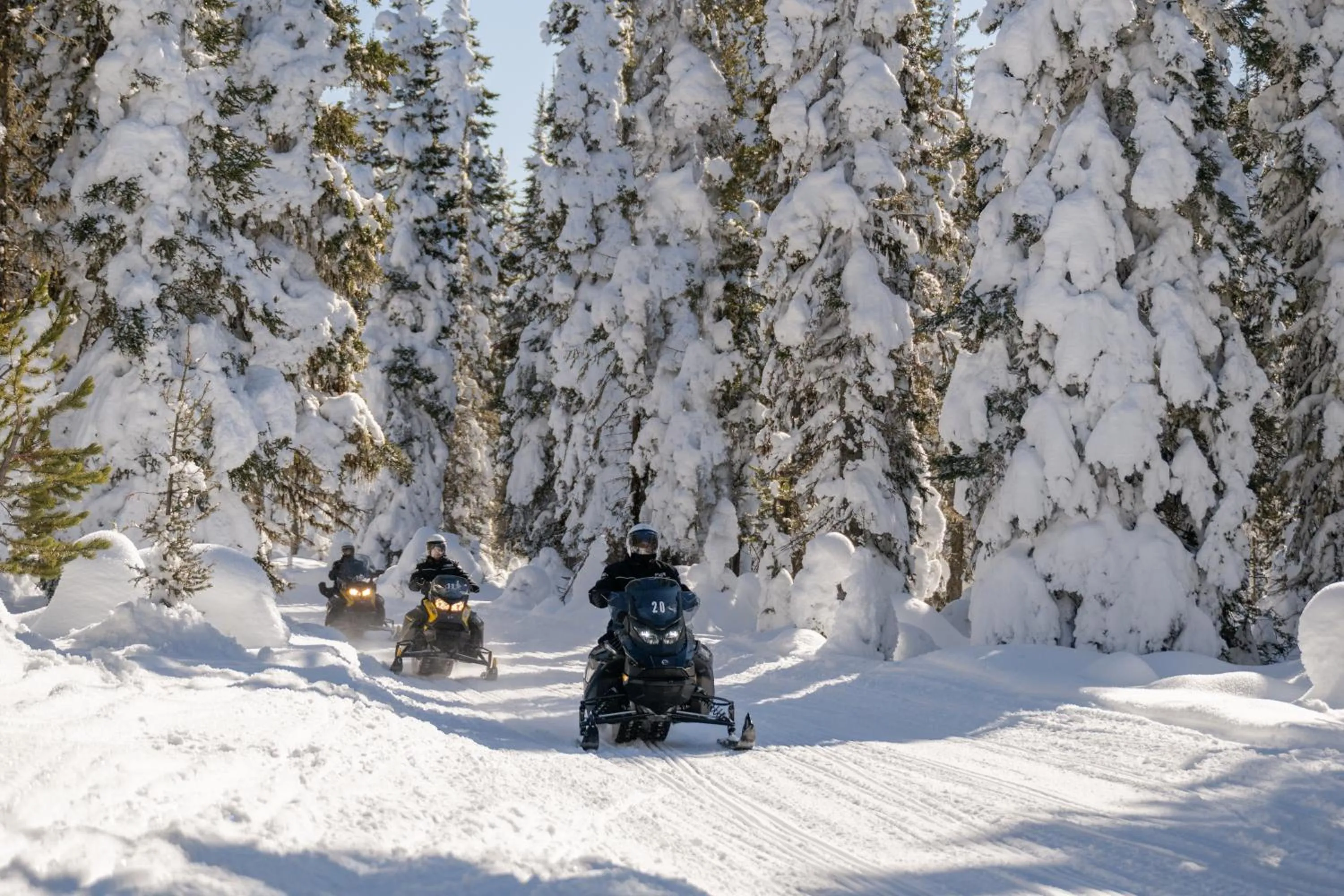 Natural landscape in Explorer Cabins at Yellowstone