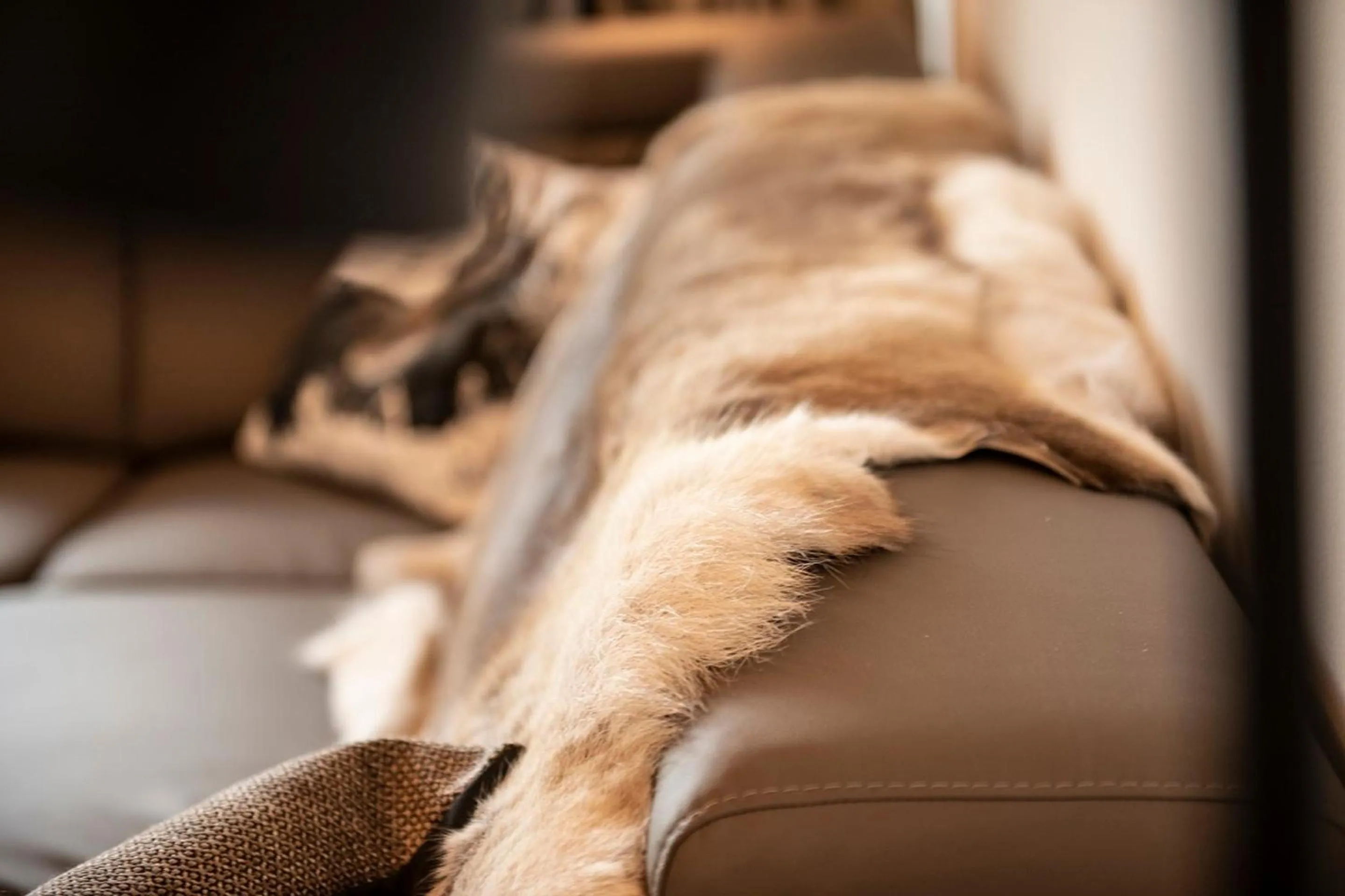 Living room in Apartment Dorf Wagrain Alpenleben by AlpenTravel