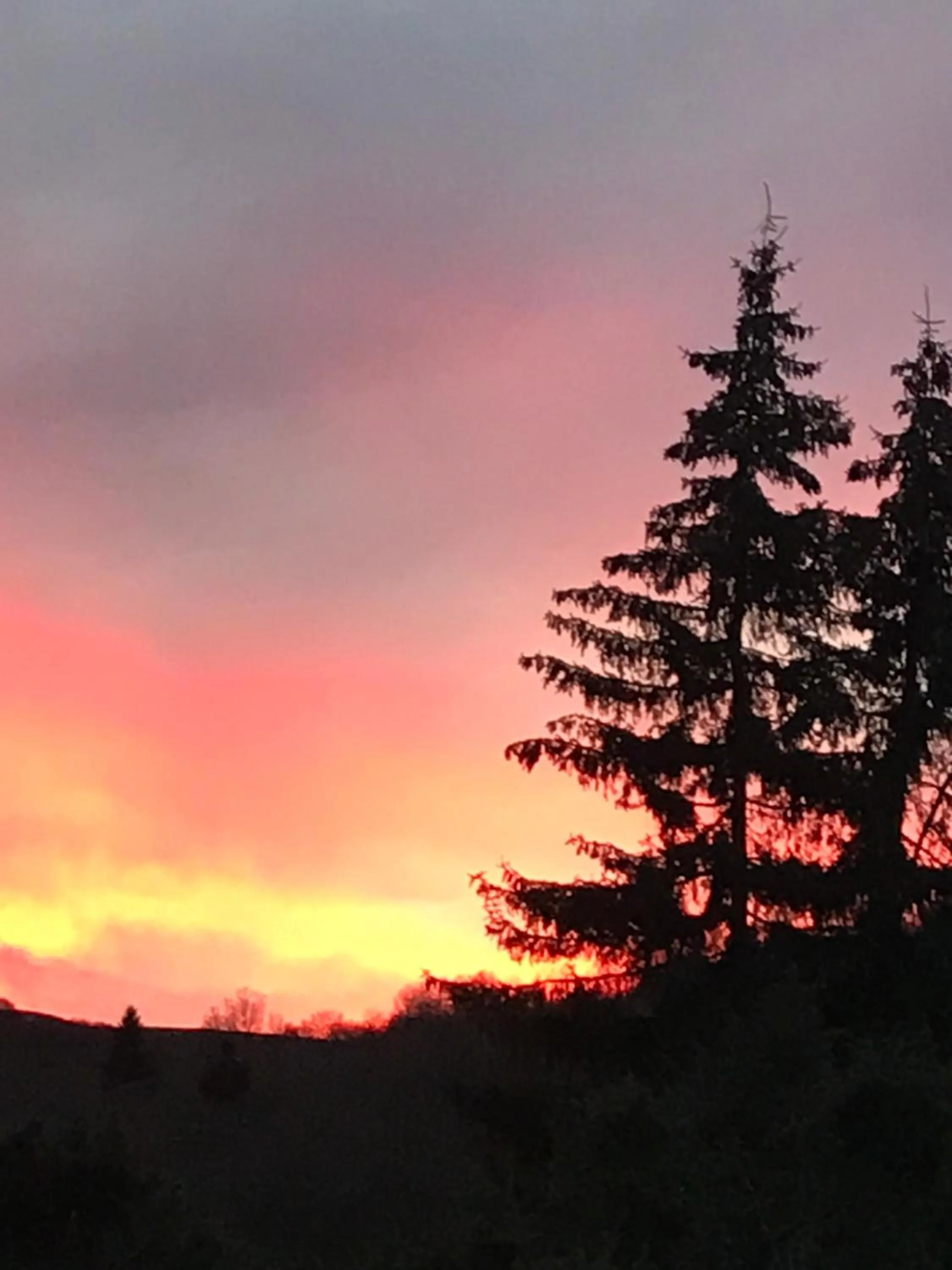 Natural landscape in AUX PORTES D'AUBRAC studio 2 personnes