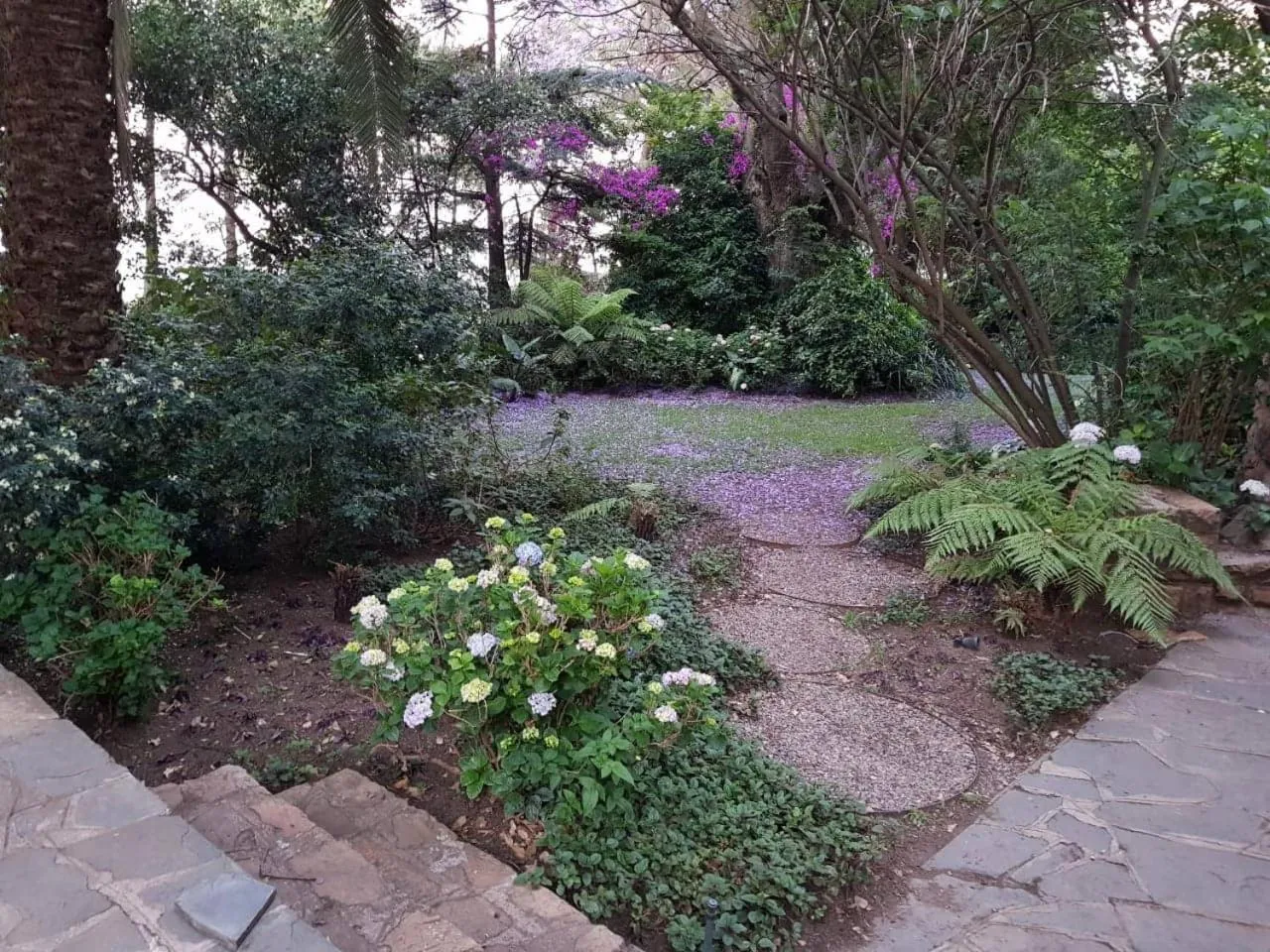 Garden in The Great Gatsby Houghton