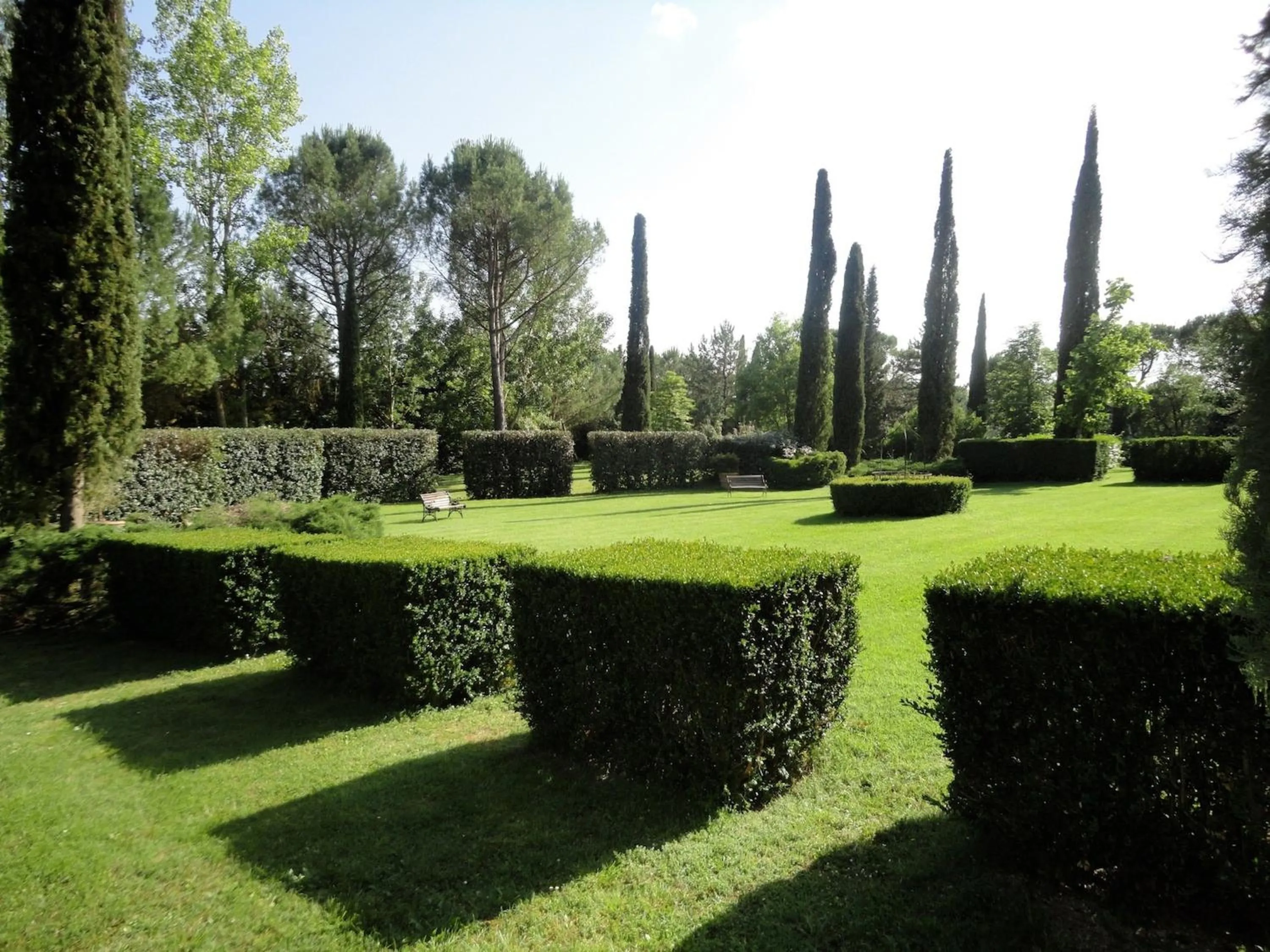 Garden in Castello di San Fabiano