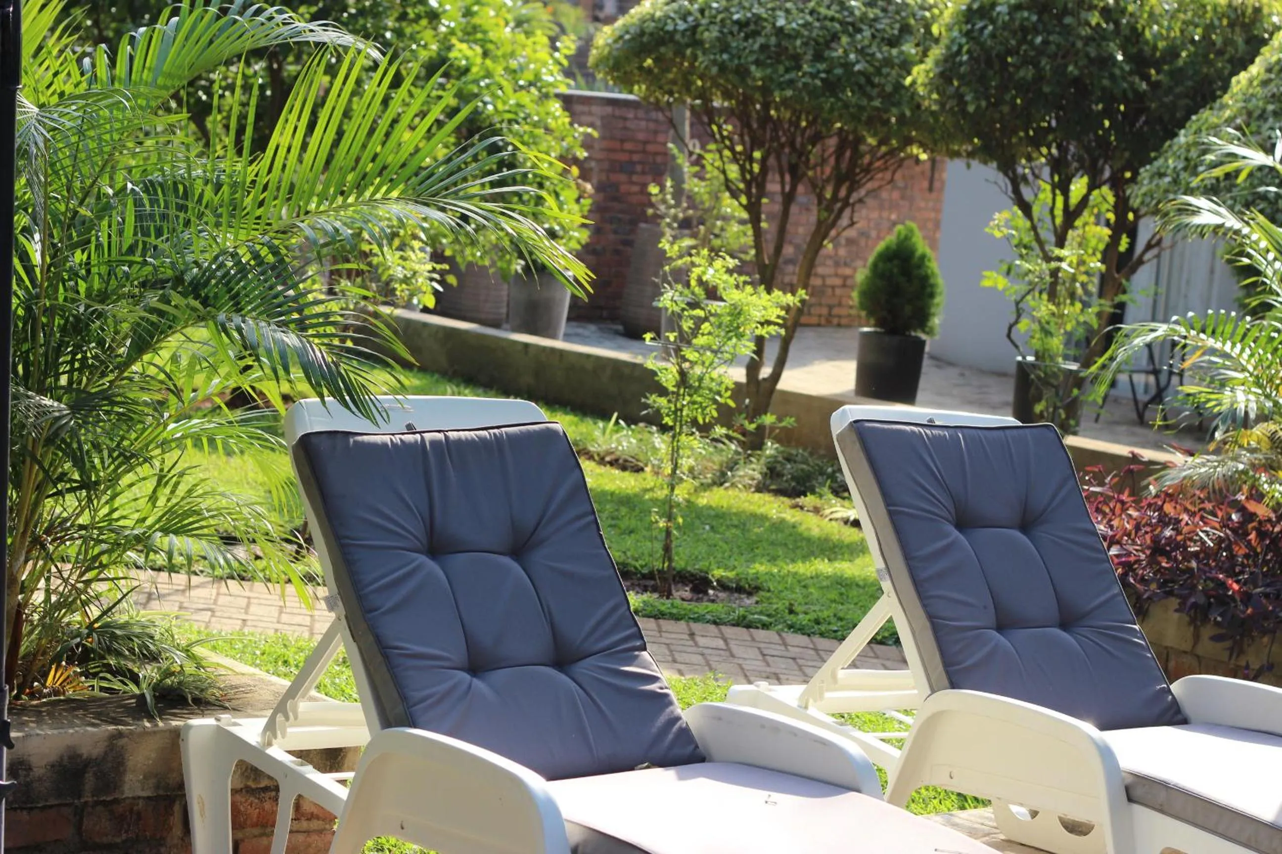 Swimming pool in Ecolux Boutique Hotel
