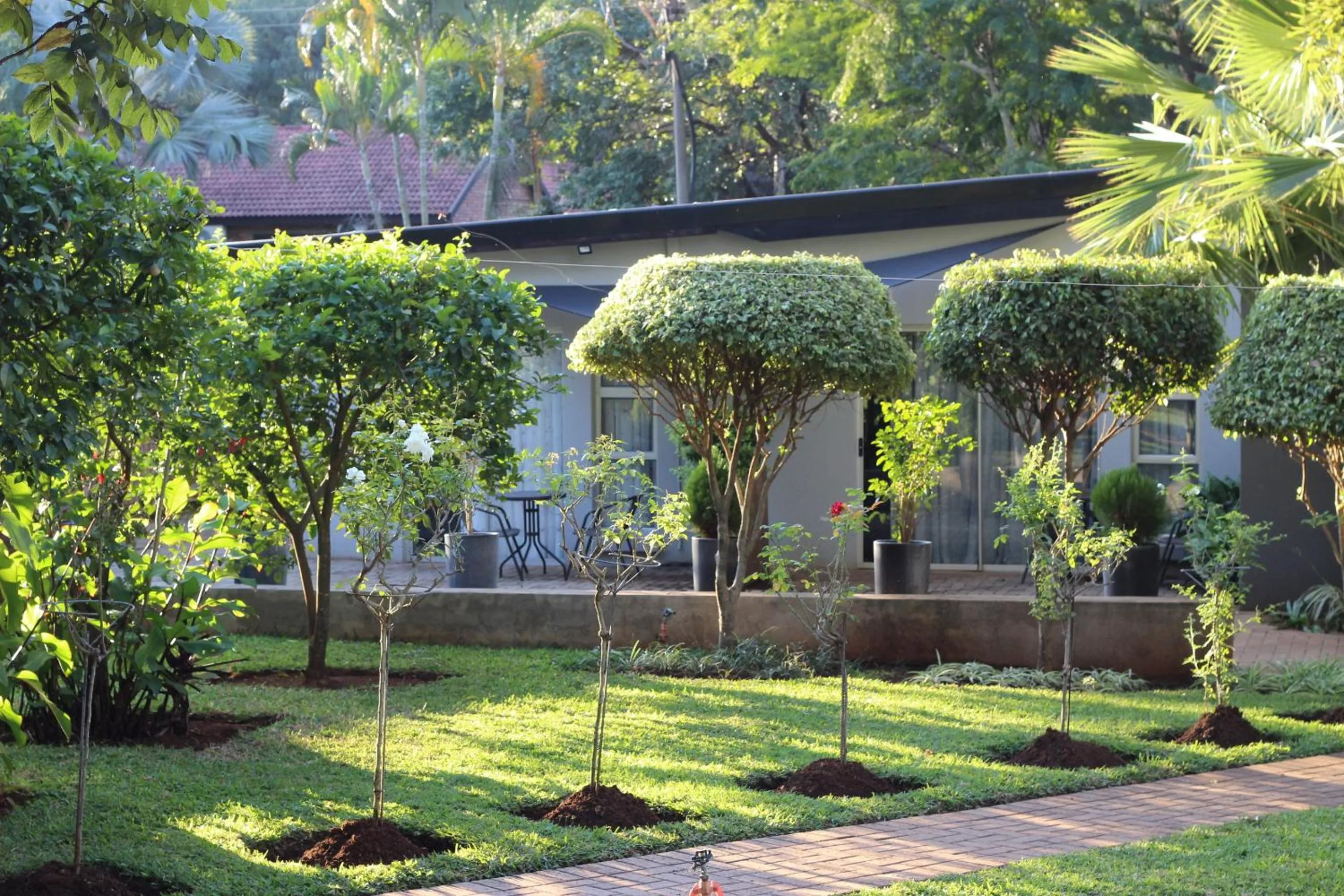 Garden view in Ecolux Boutique Hotel