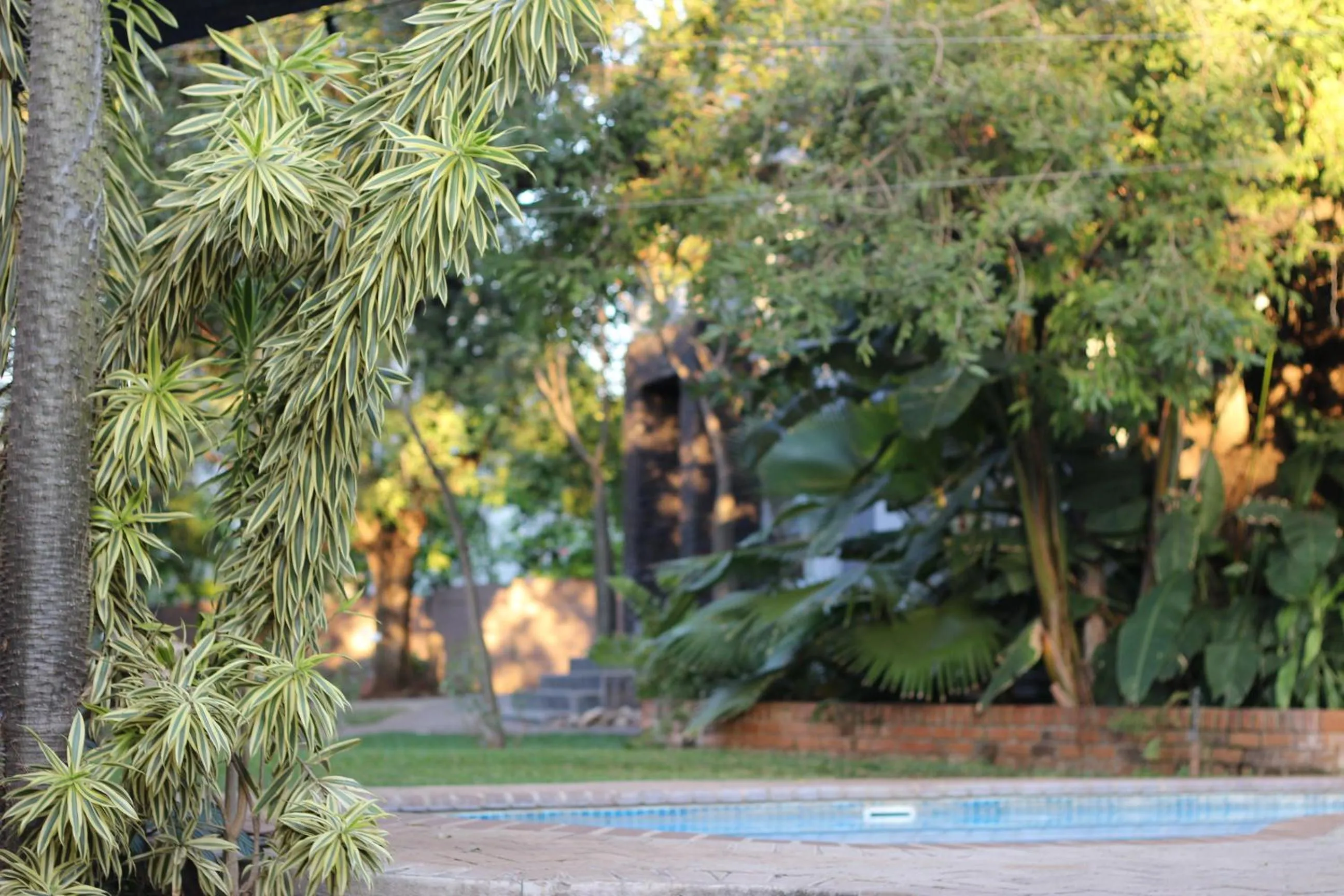 Garden in Ecolux Boutique Hotel