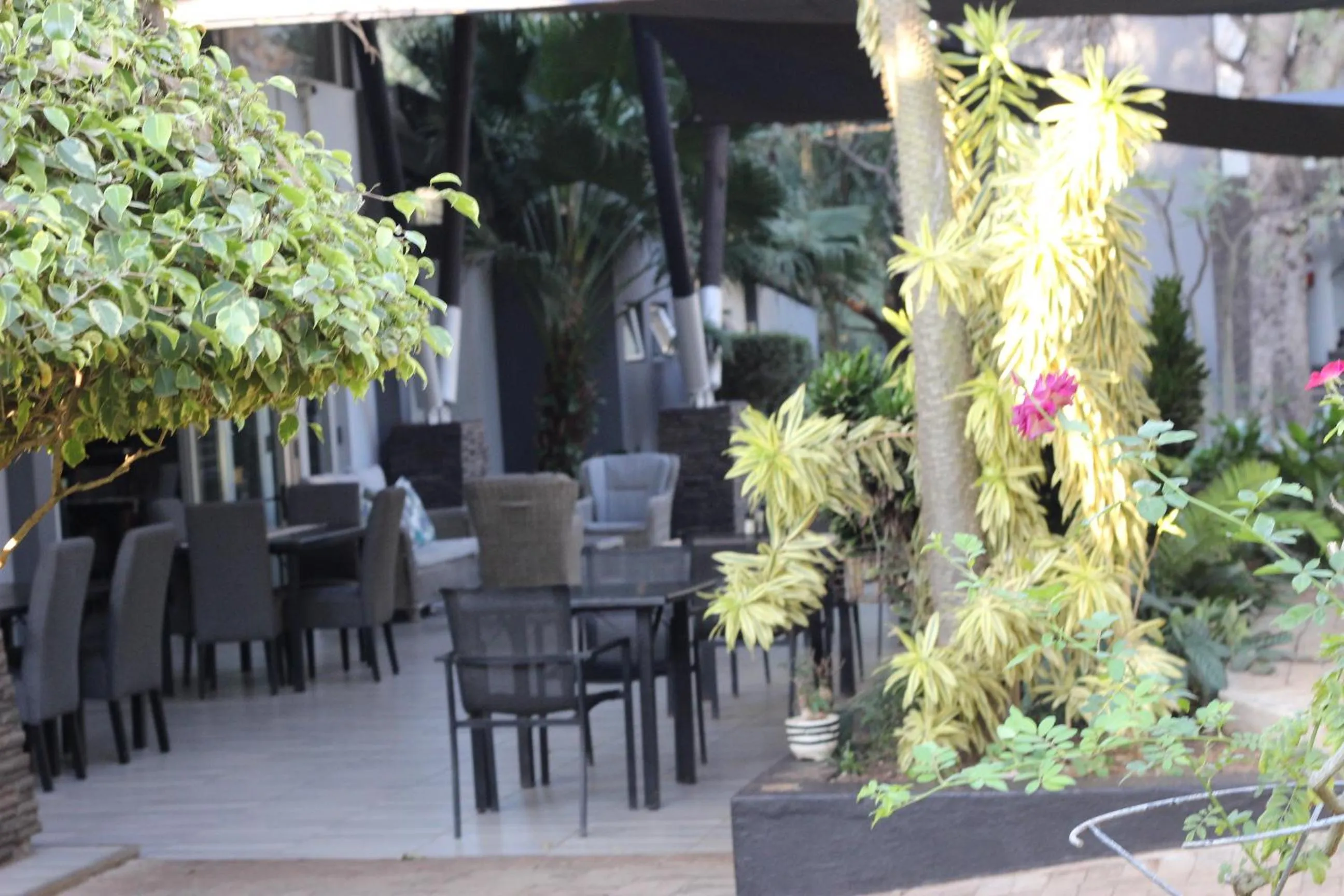 Dining area in Ecolux Boutique Hotel