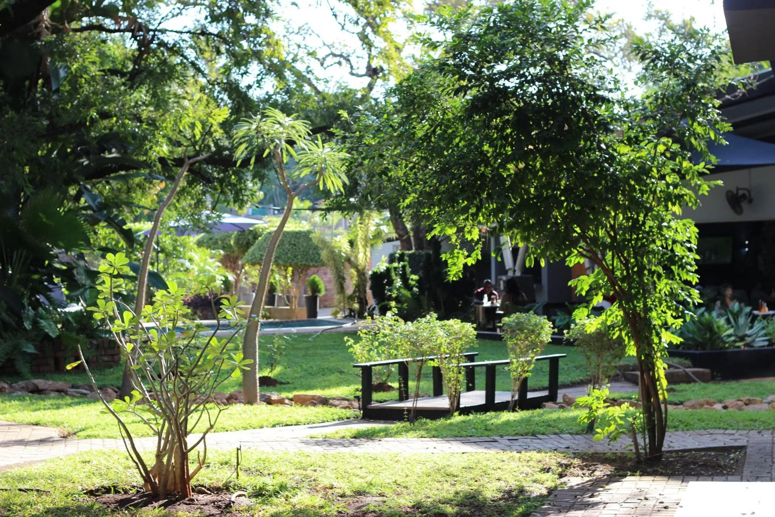 Garden in Ecolux Boutique Hotel