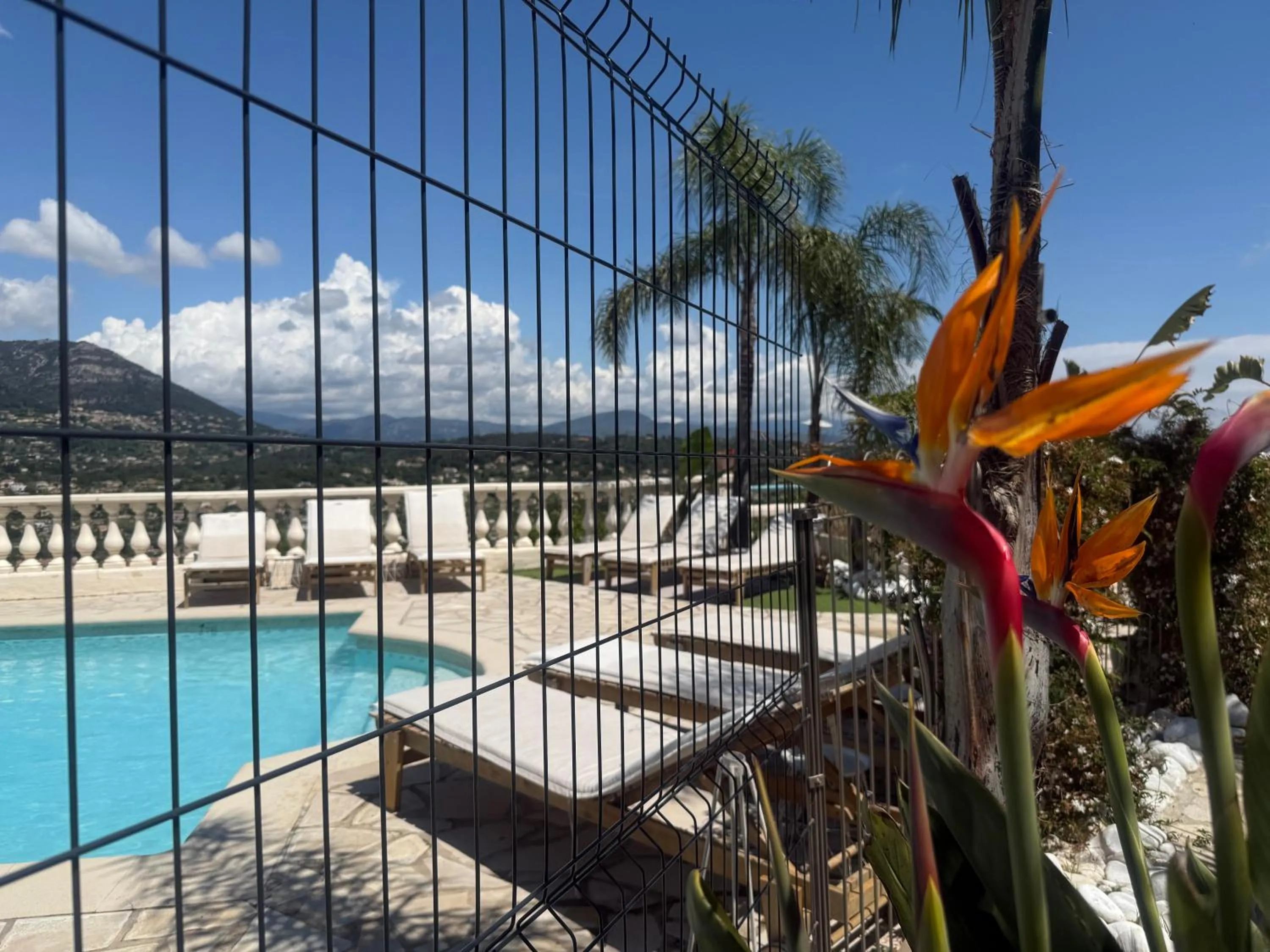 Swimming pool in Hôtel Miramar