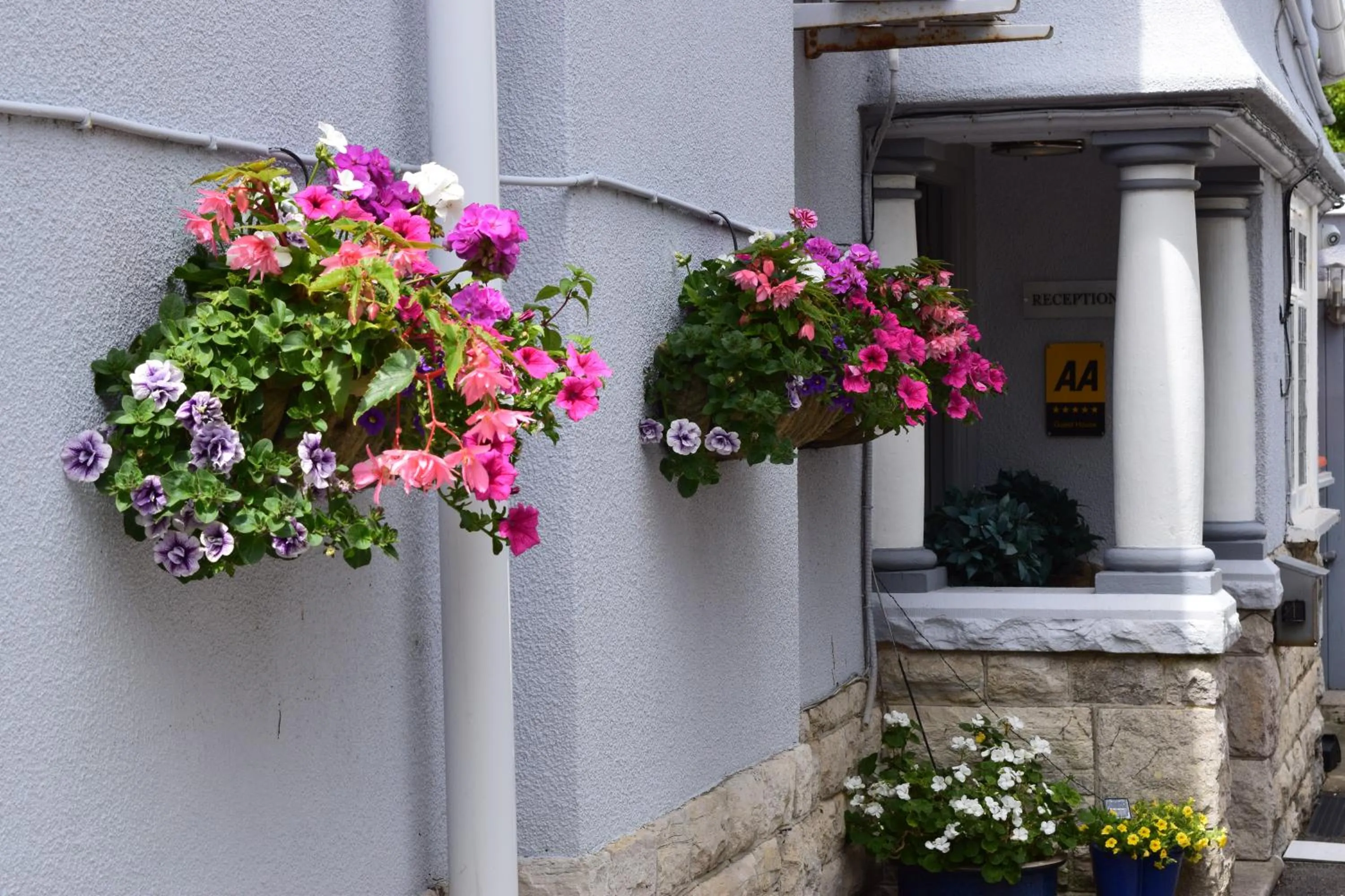 Garden in Swanage Haven Boutique Guest House