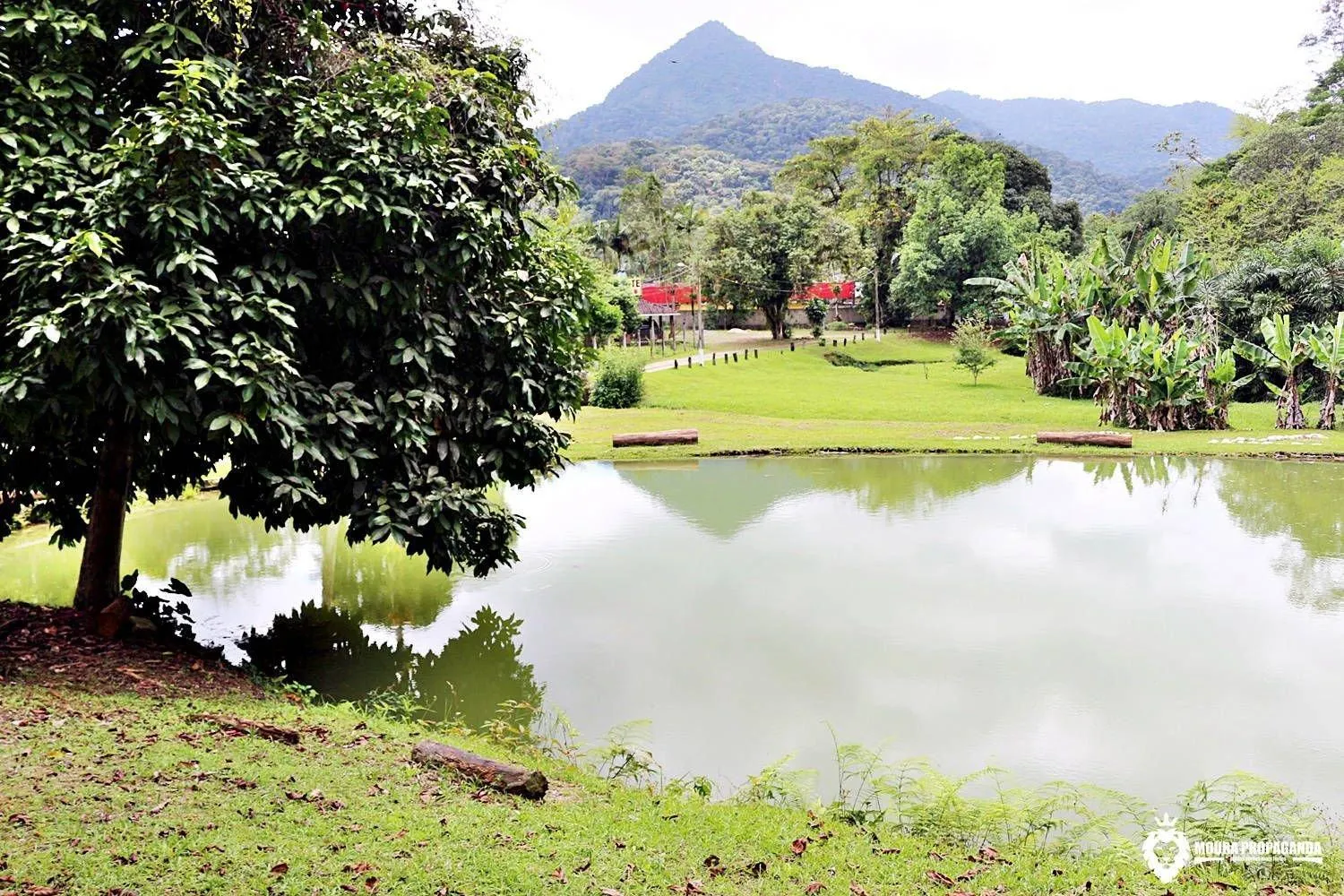Lake view in Eco Chalés Luar das Marés