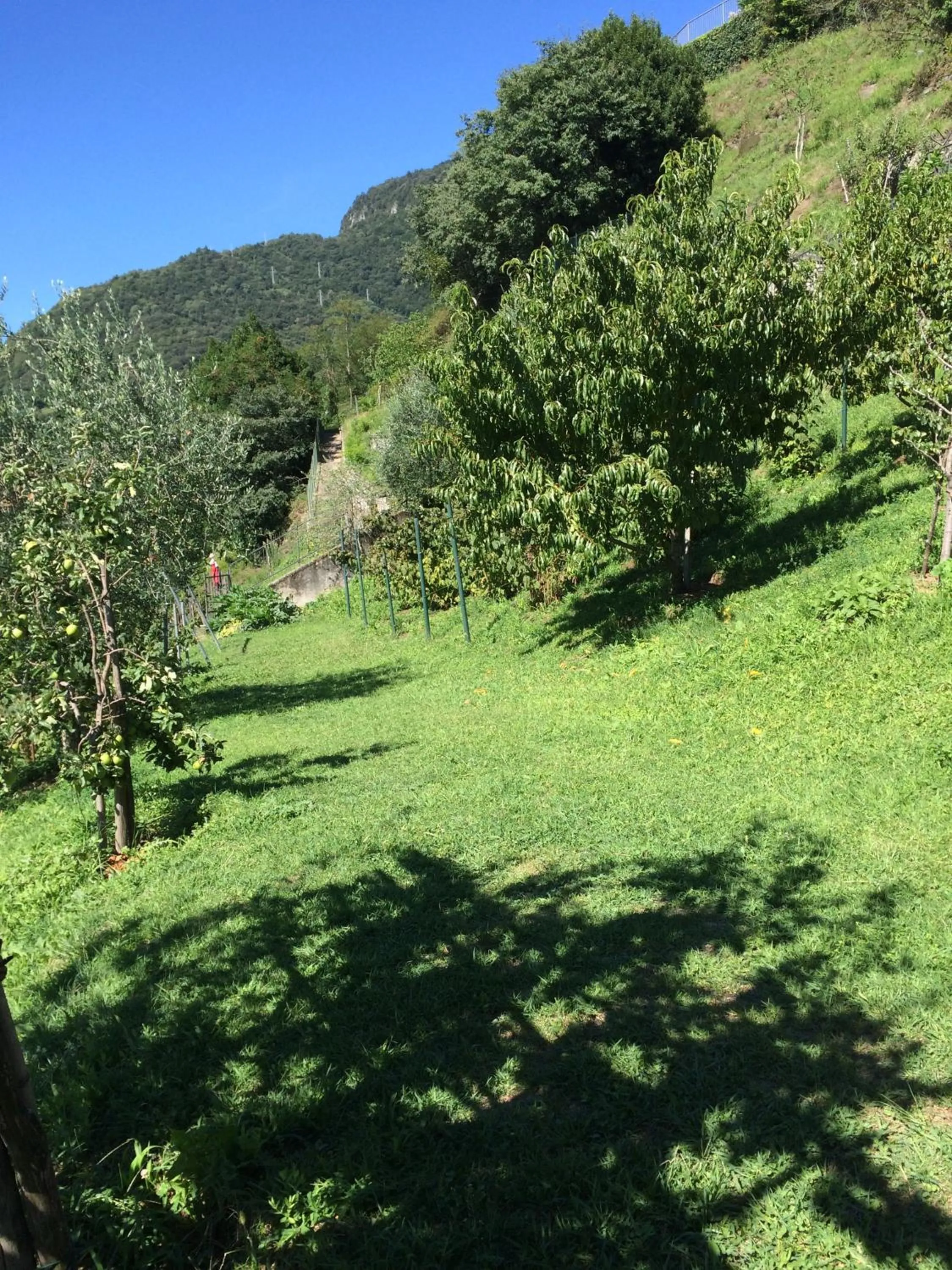 Garden in Residence Le Azalee & SPA