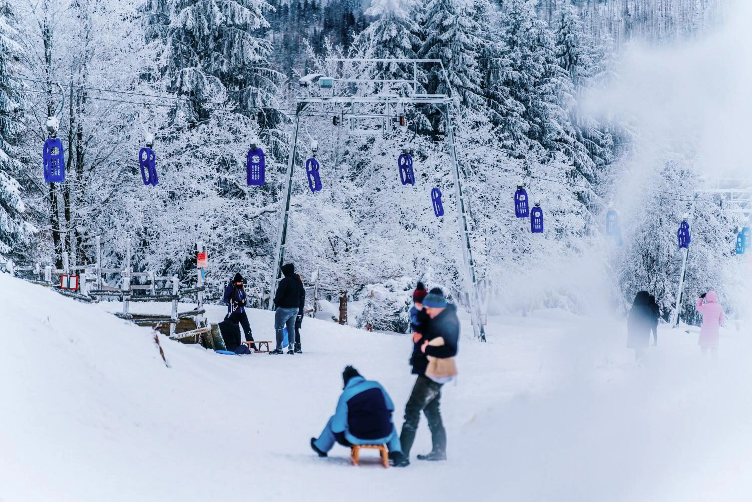 Activities in Torfhaus Harzresort