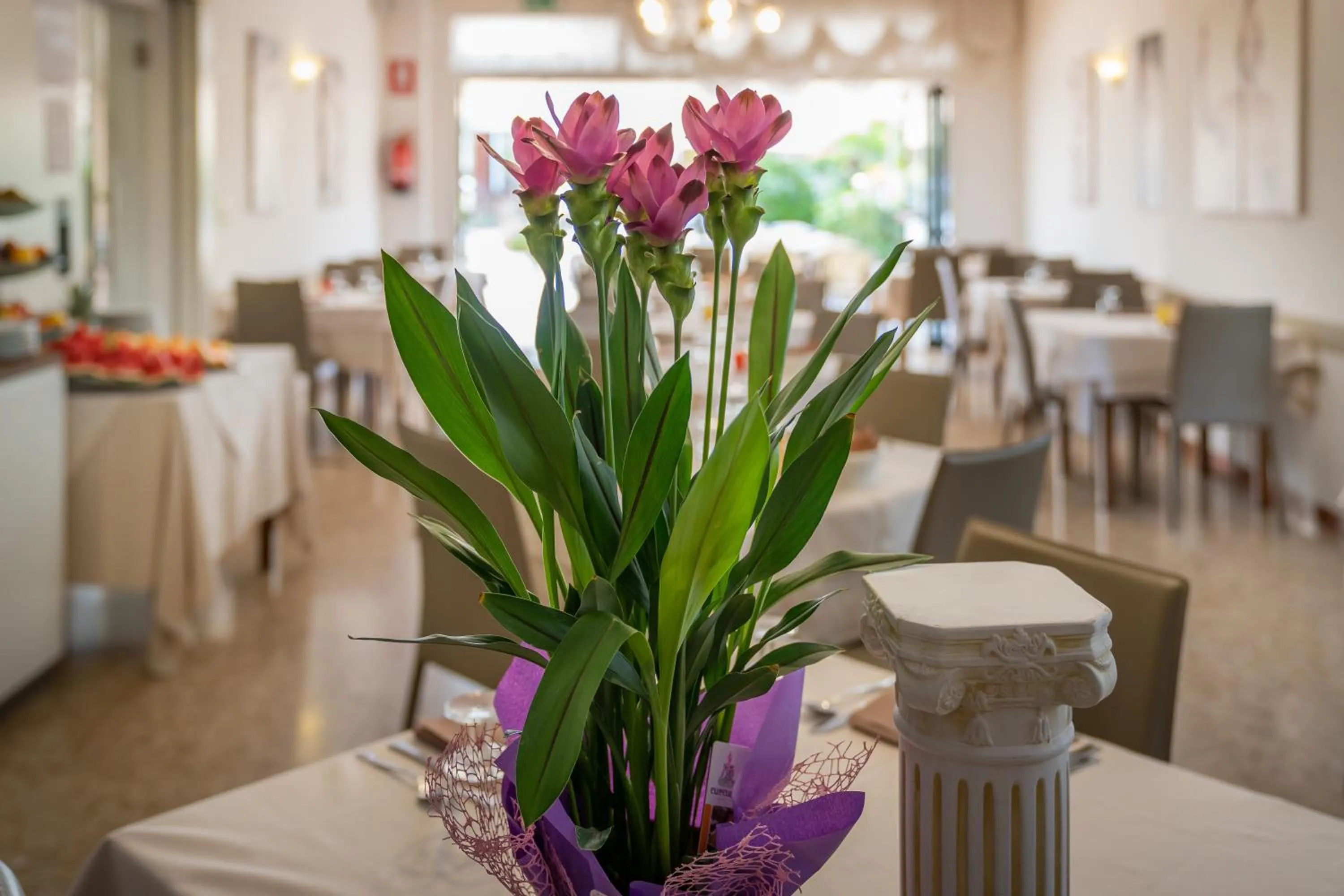 Restaurant/places to eat in Hotel Atenea Golden Star