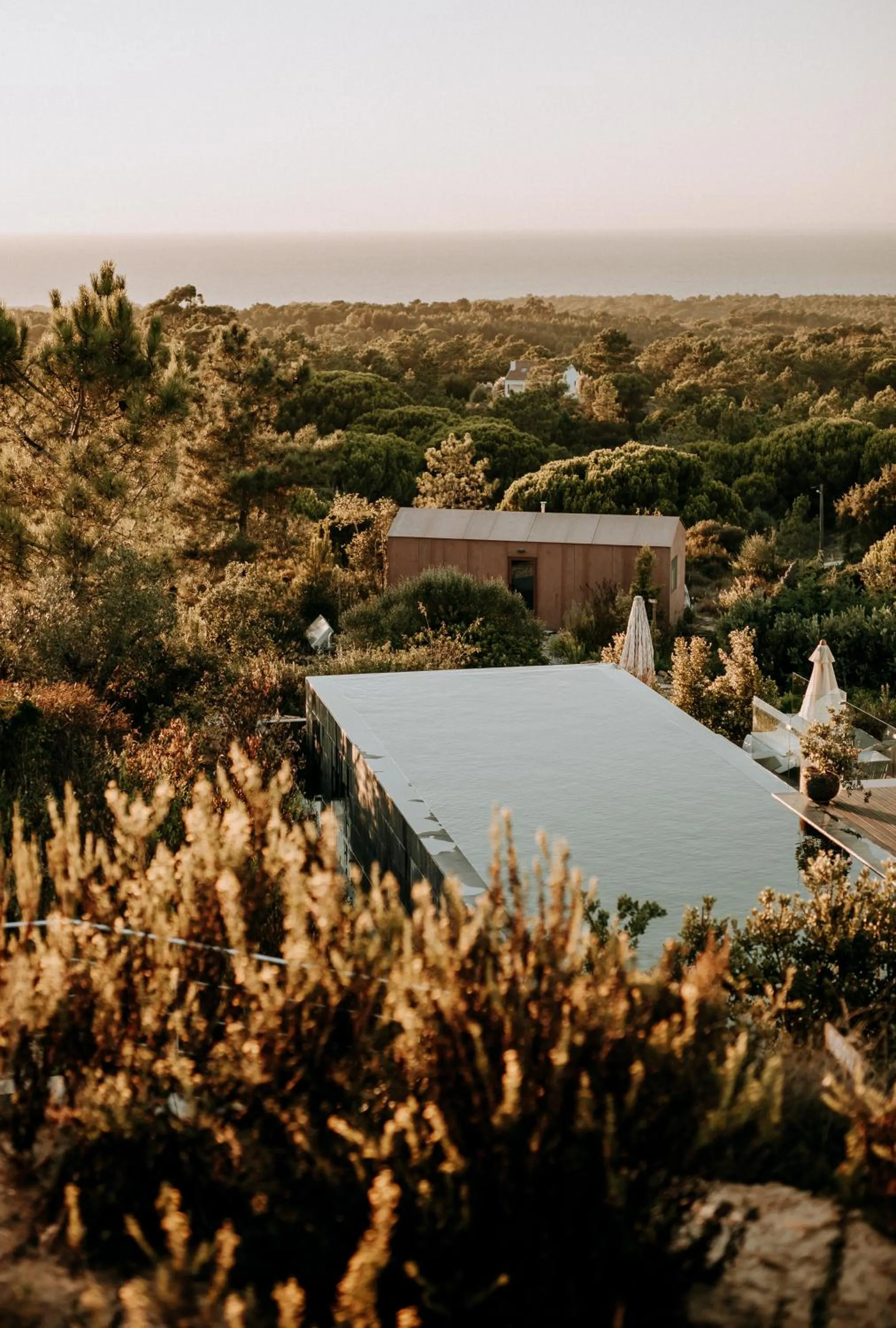 Eco-lodge Villa Epicurea