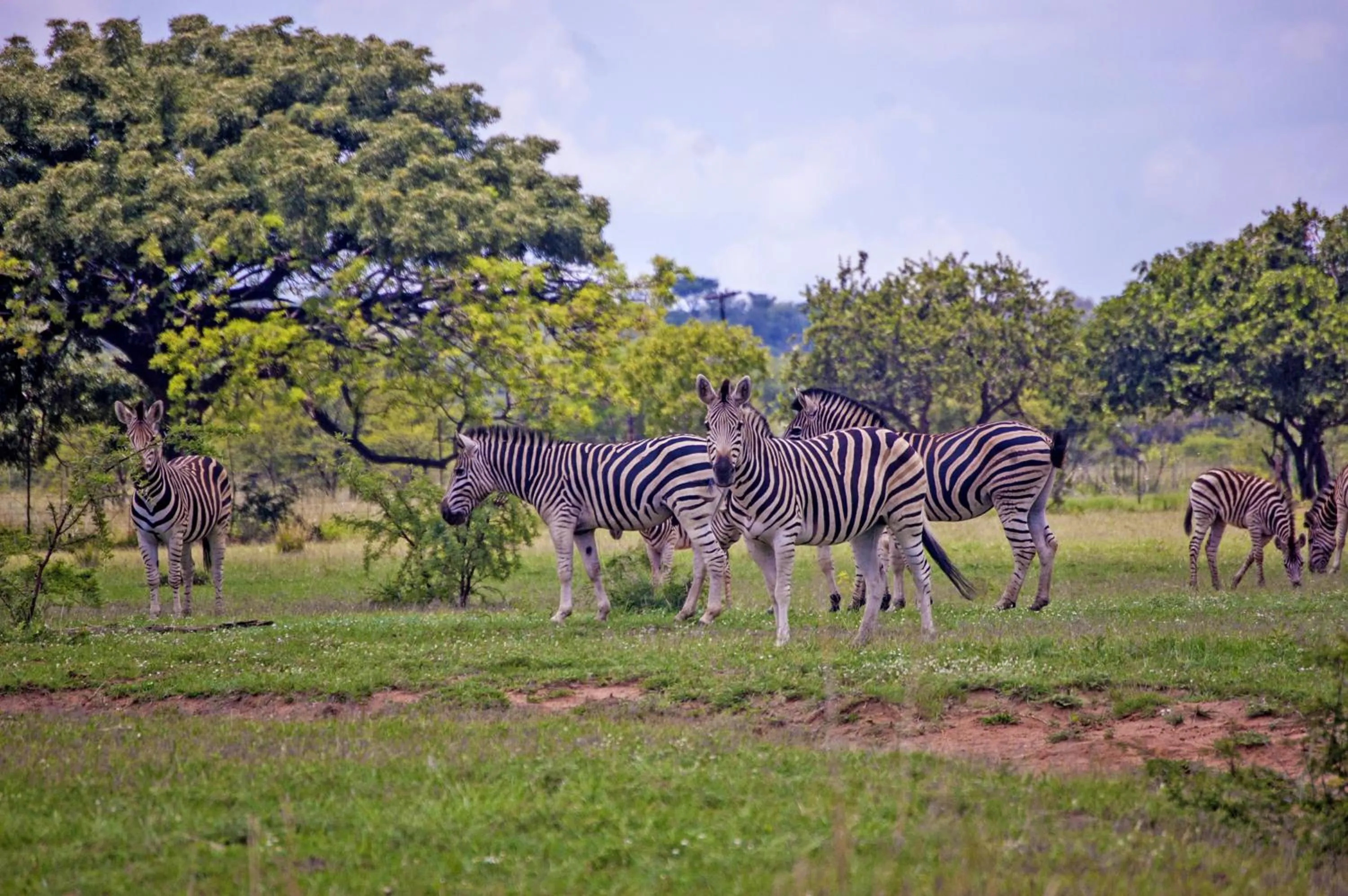 Natural landscape in Kedar Heritage Lodge, Conference Centre & Spa