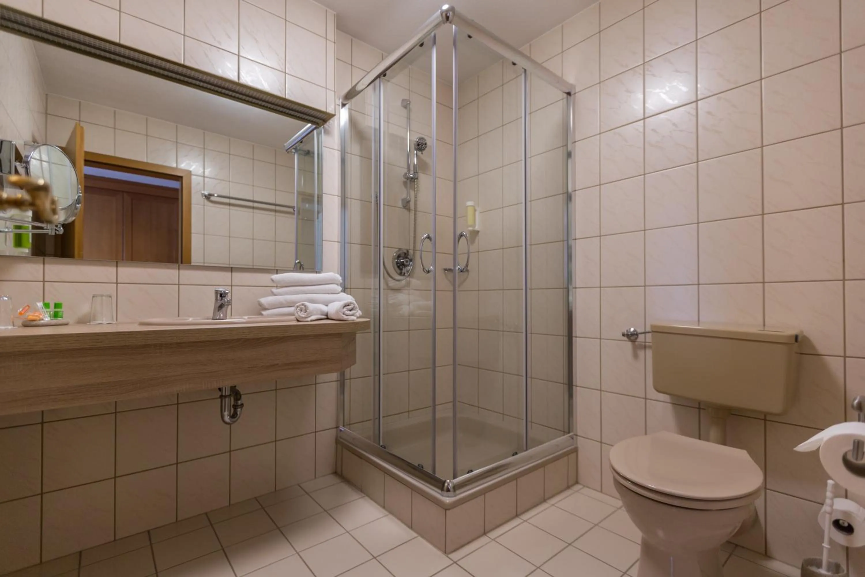 Bathroom in Fränkischer Hof