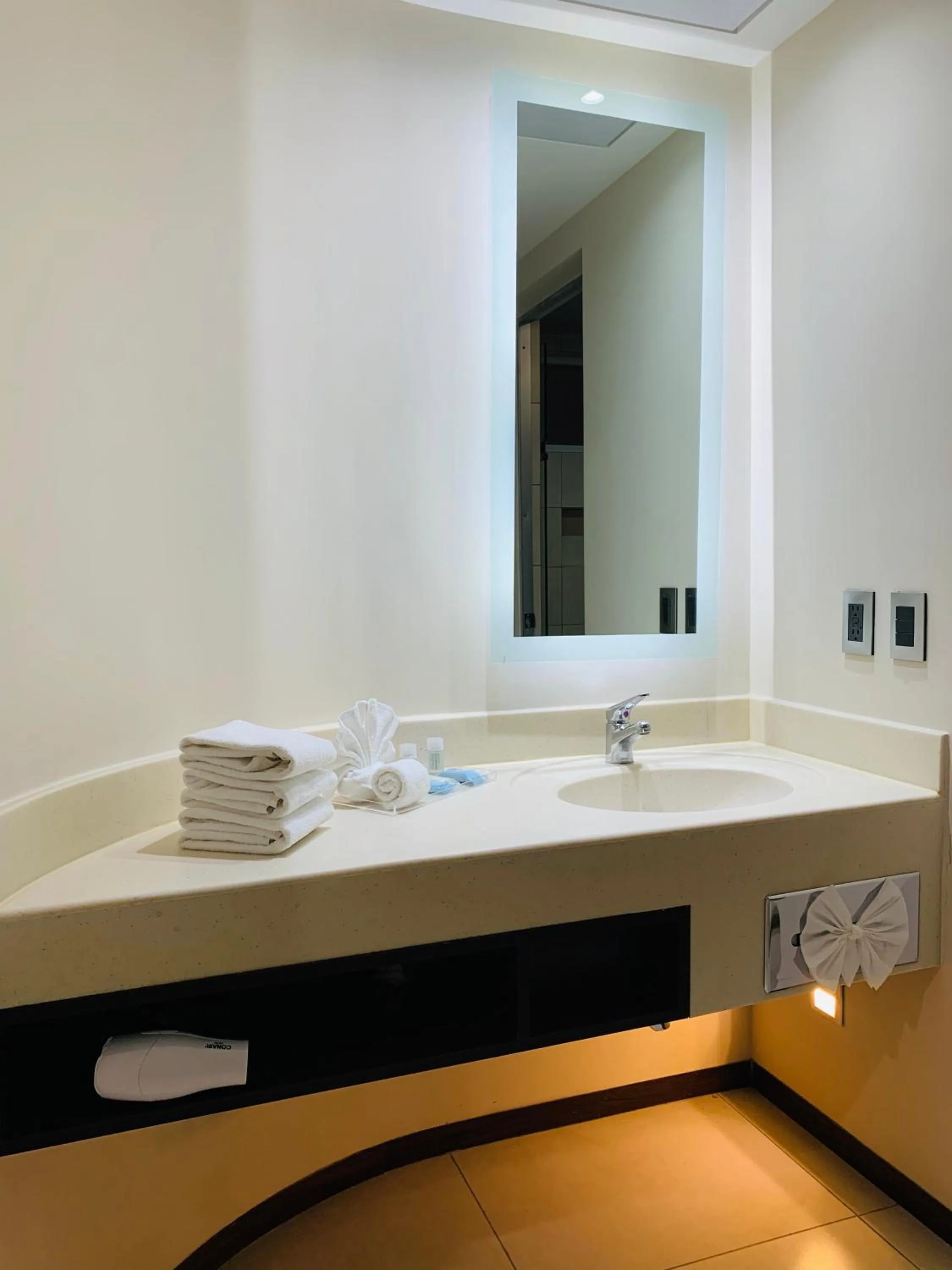 Bathroom in Holiday Inn Express - Mexico Basilica by IHG