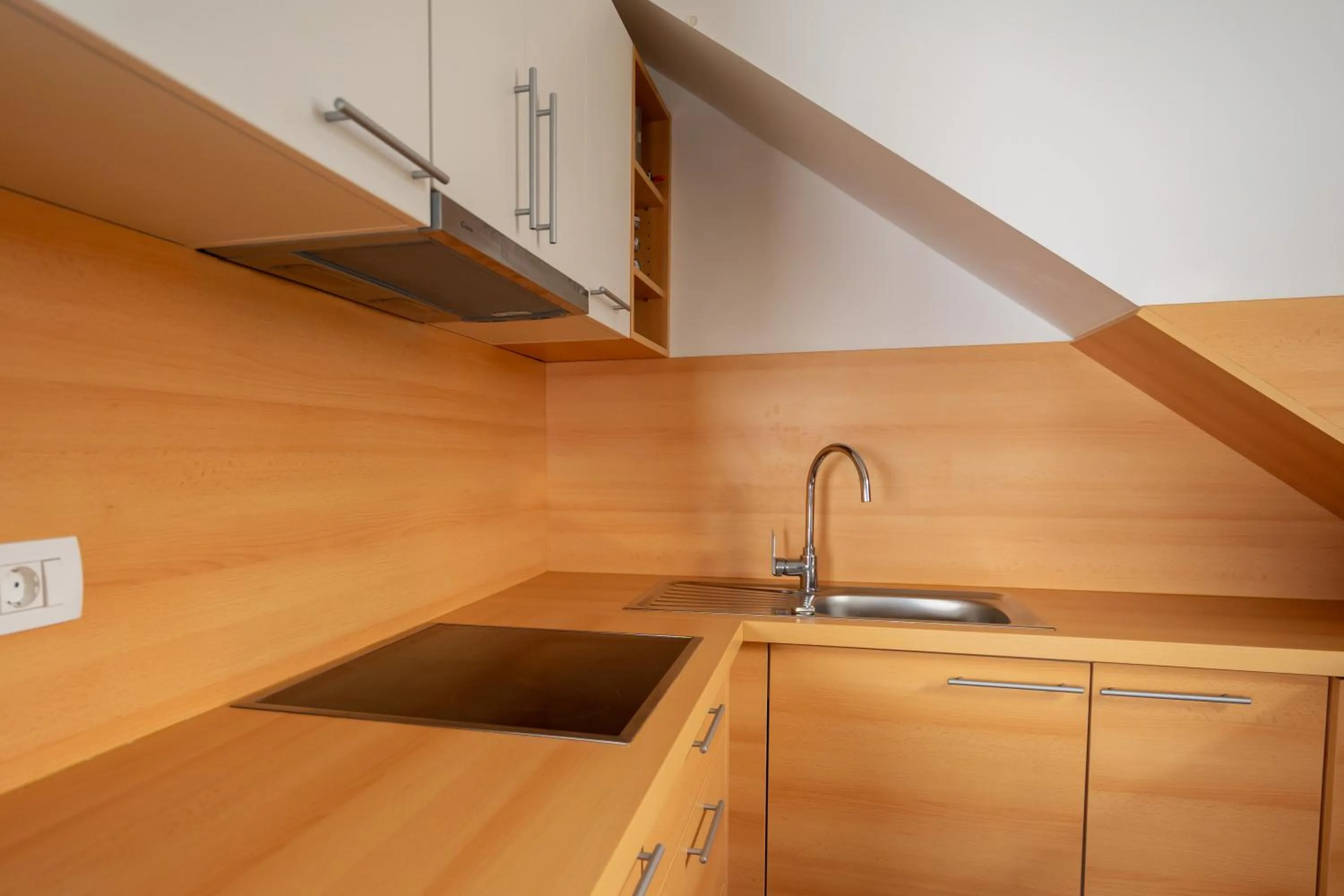 Kitchen or kitchenette in PJagodic Apartments & Wellness