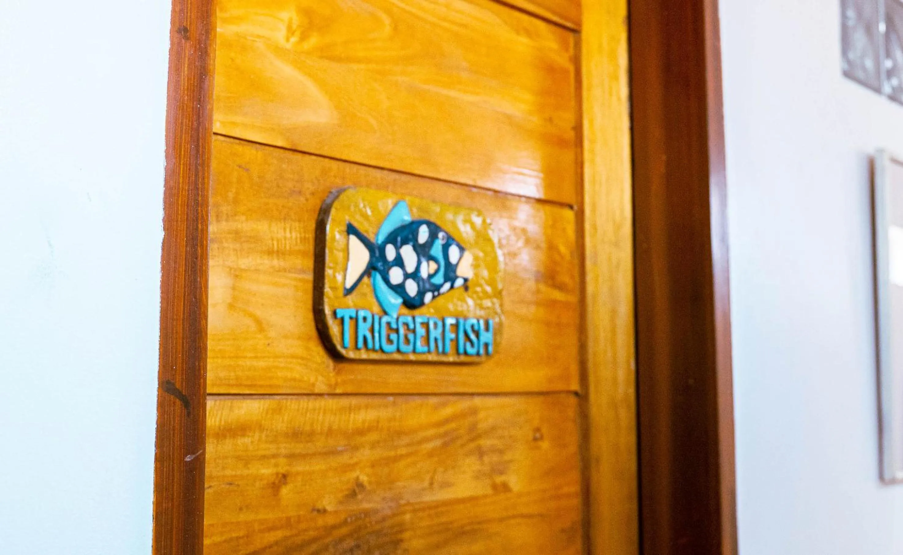 Text overlay in DiveGurus Boracay Beach Resort