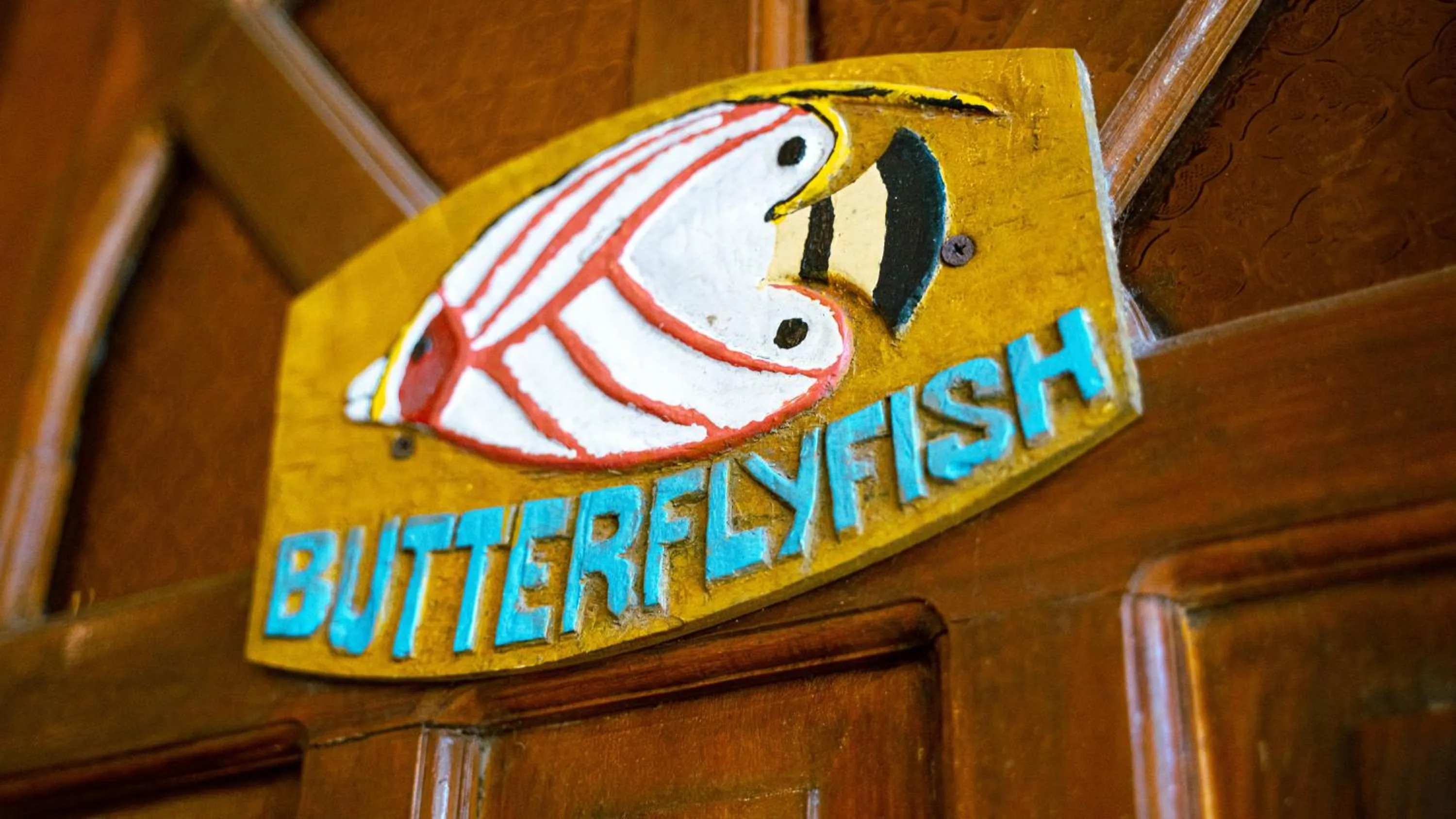 Text overlay in DiveGurus Boracay Beach Resort