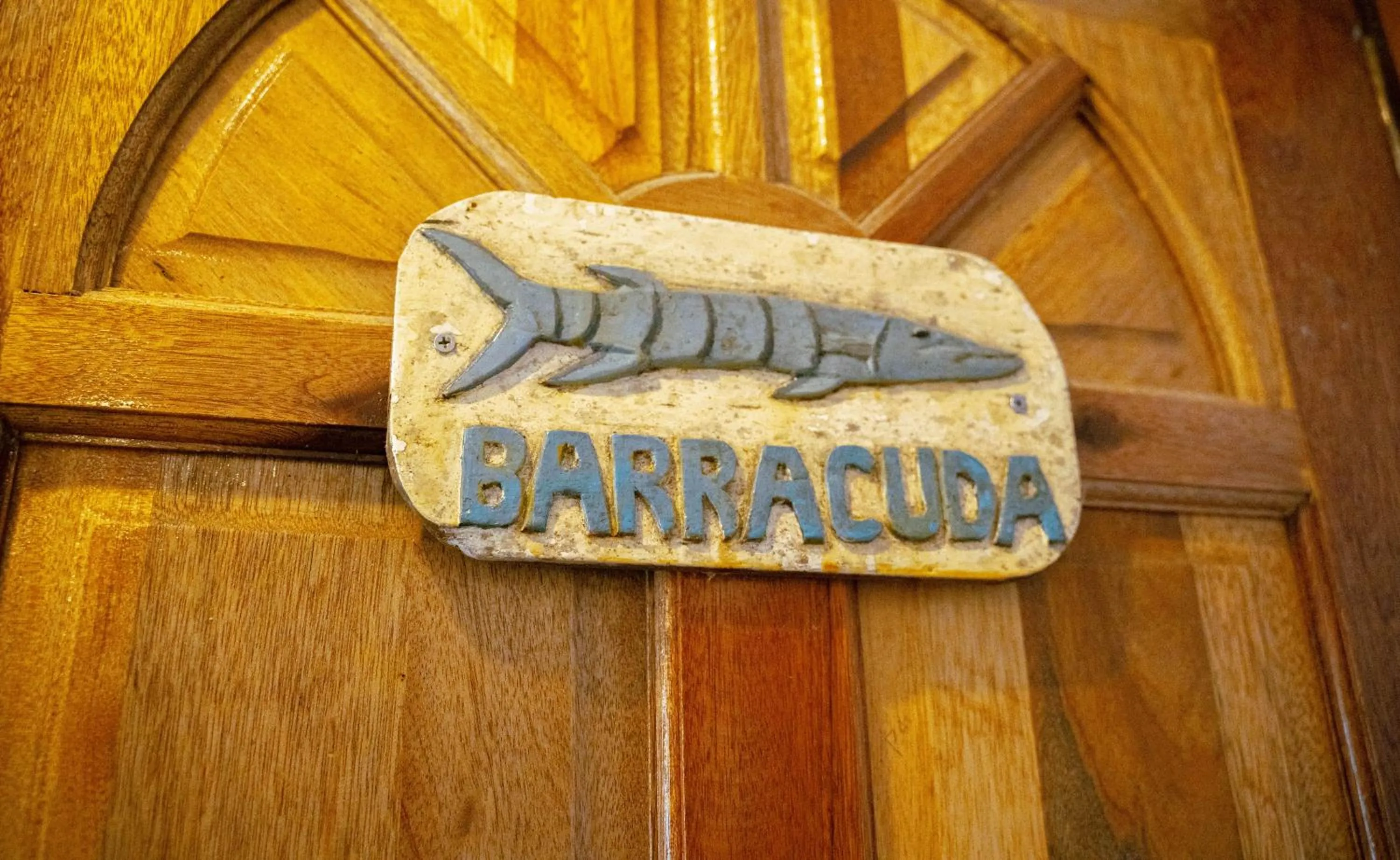 Text overlay in DiveGurus Boracay Beach Resort